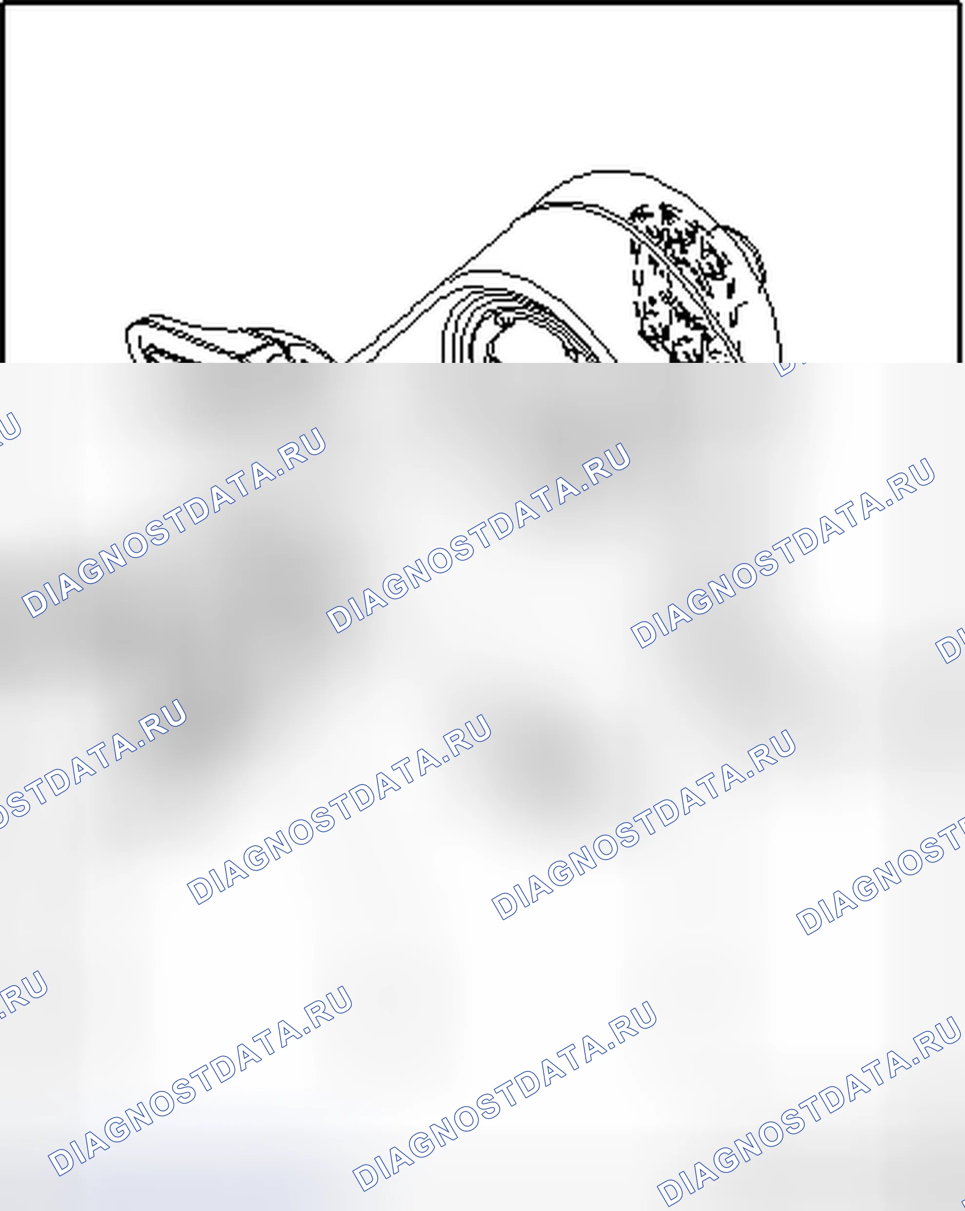 Рис. 77: привод. Volkswagen Touareg I