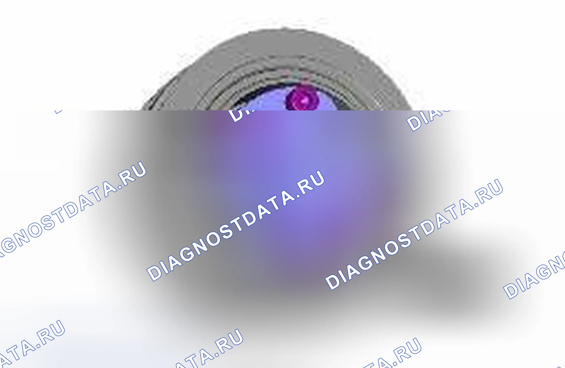 Рис. 625. Jaguar XF I