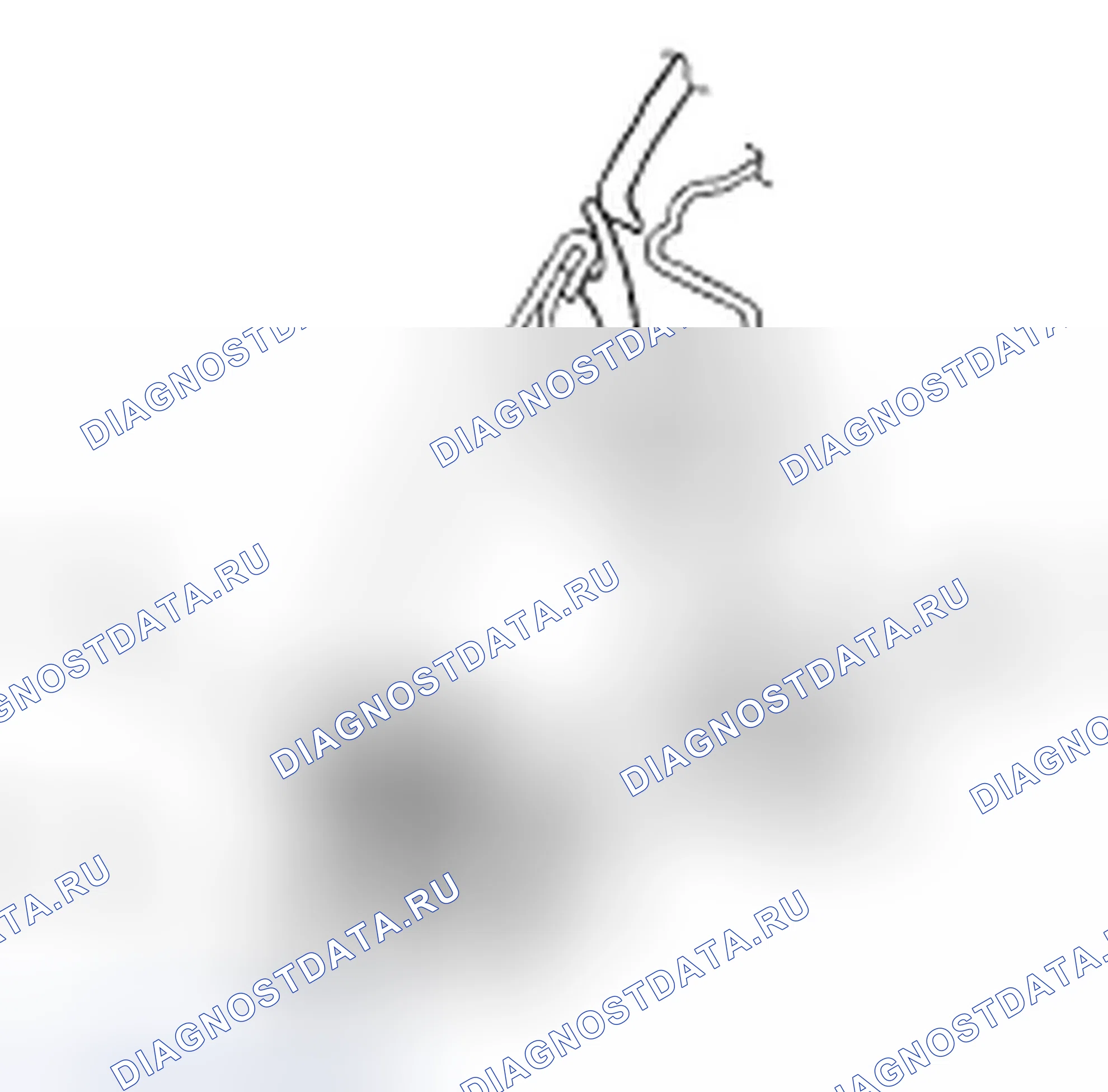 Рис. 10. Honda Element YH2 рестайлинг