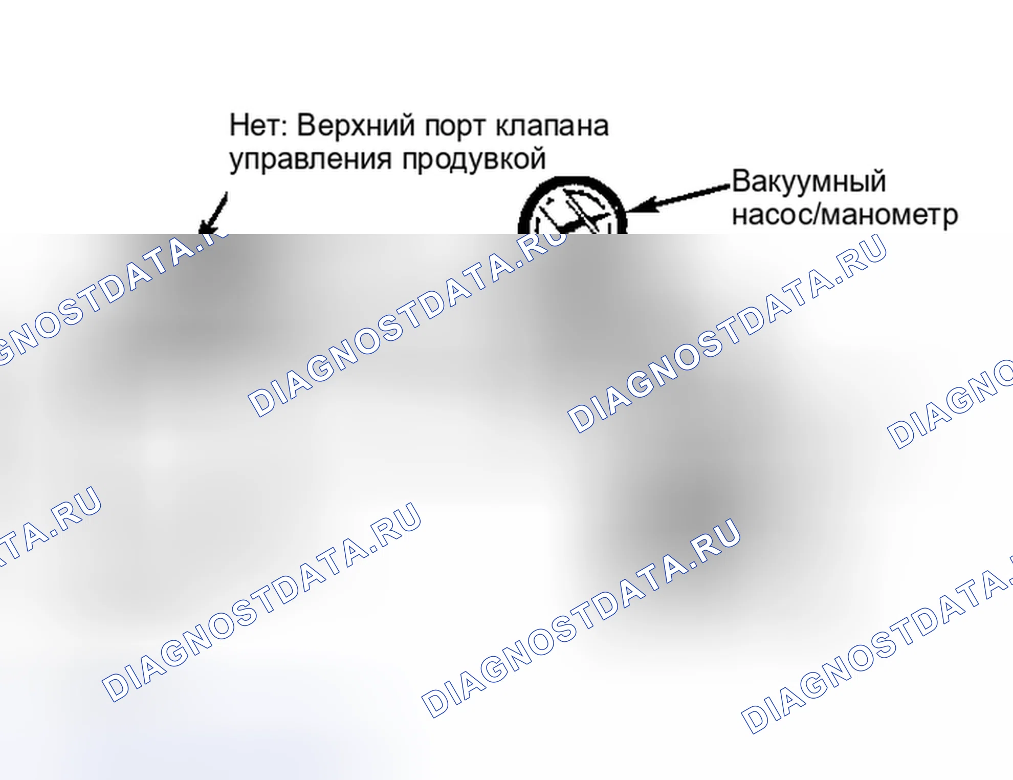 Рис. 39: Регулирующий клапан продувки (кроме B2600i и MPV 2.6L). Mazda MPV V