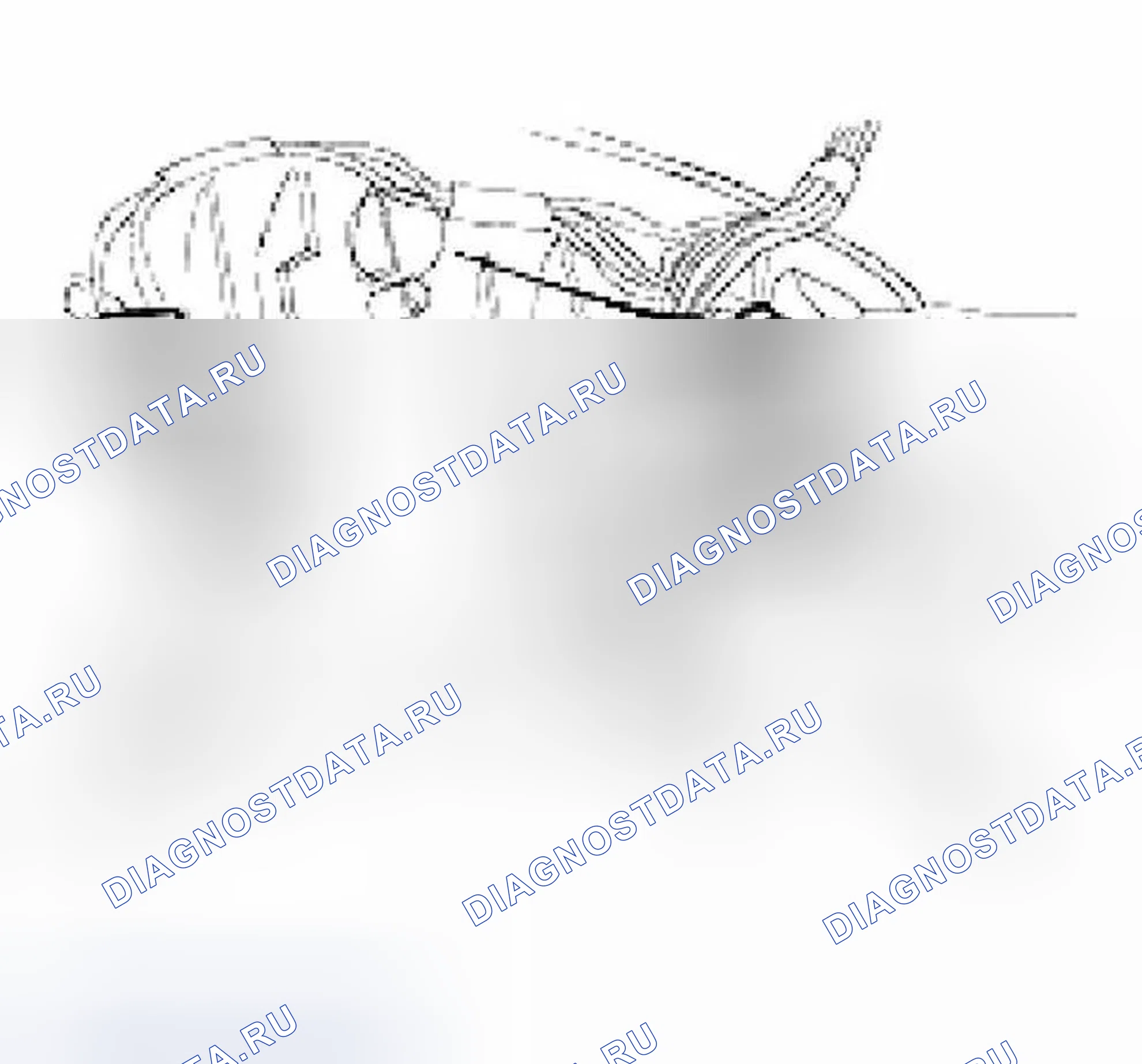 Рис. 18. Jaguar XKR I