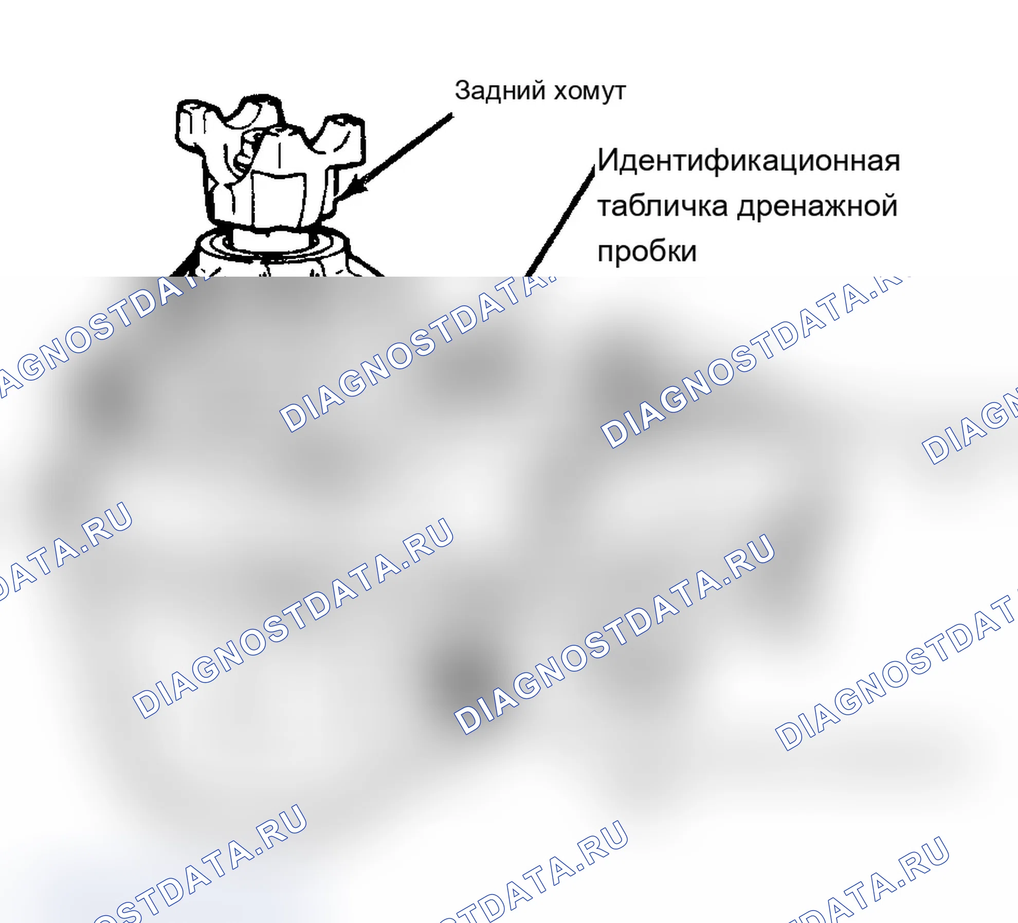 Рис. 7: Расположение компонентов (7 из 11). Chevrolet Cab & Chassis S10 