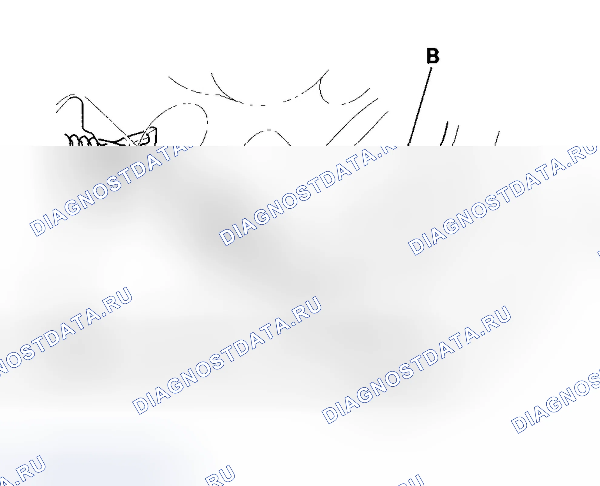 Рис. 47. Honda Element YH2