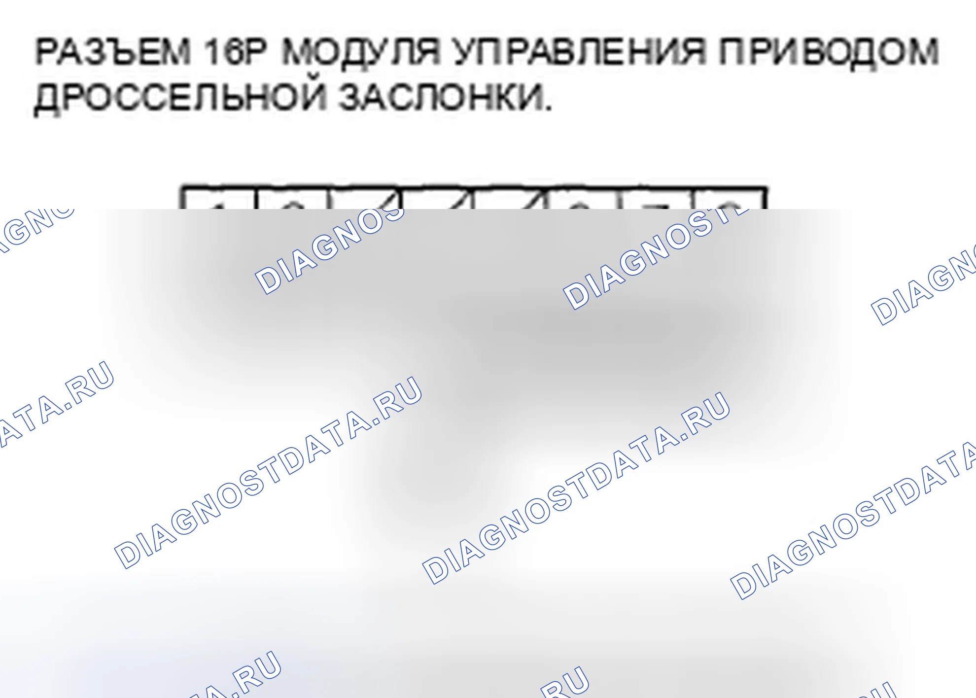 Рис. 304. Honda Element YH2 рестайлинг