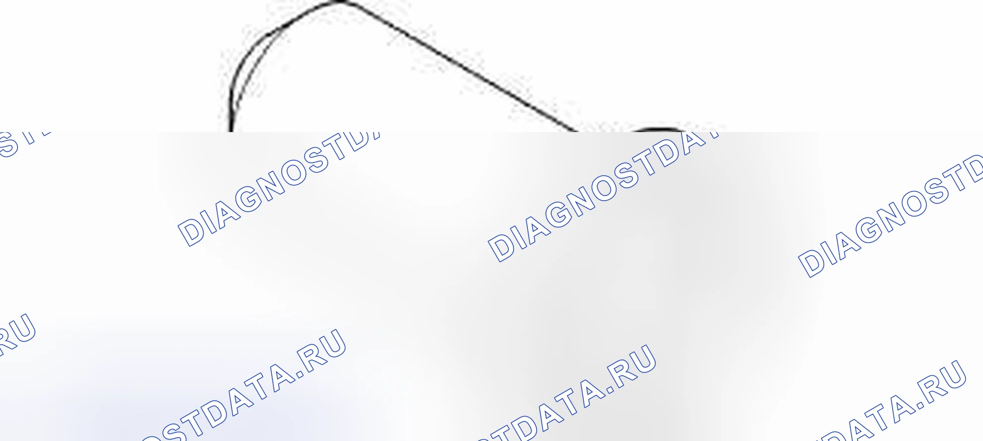Рис. 344. Dodge Cab & Chassis R3500 HD final