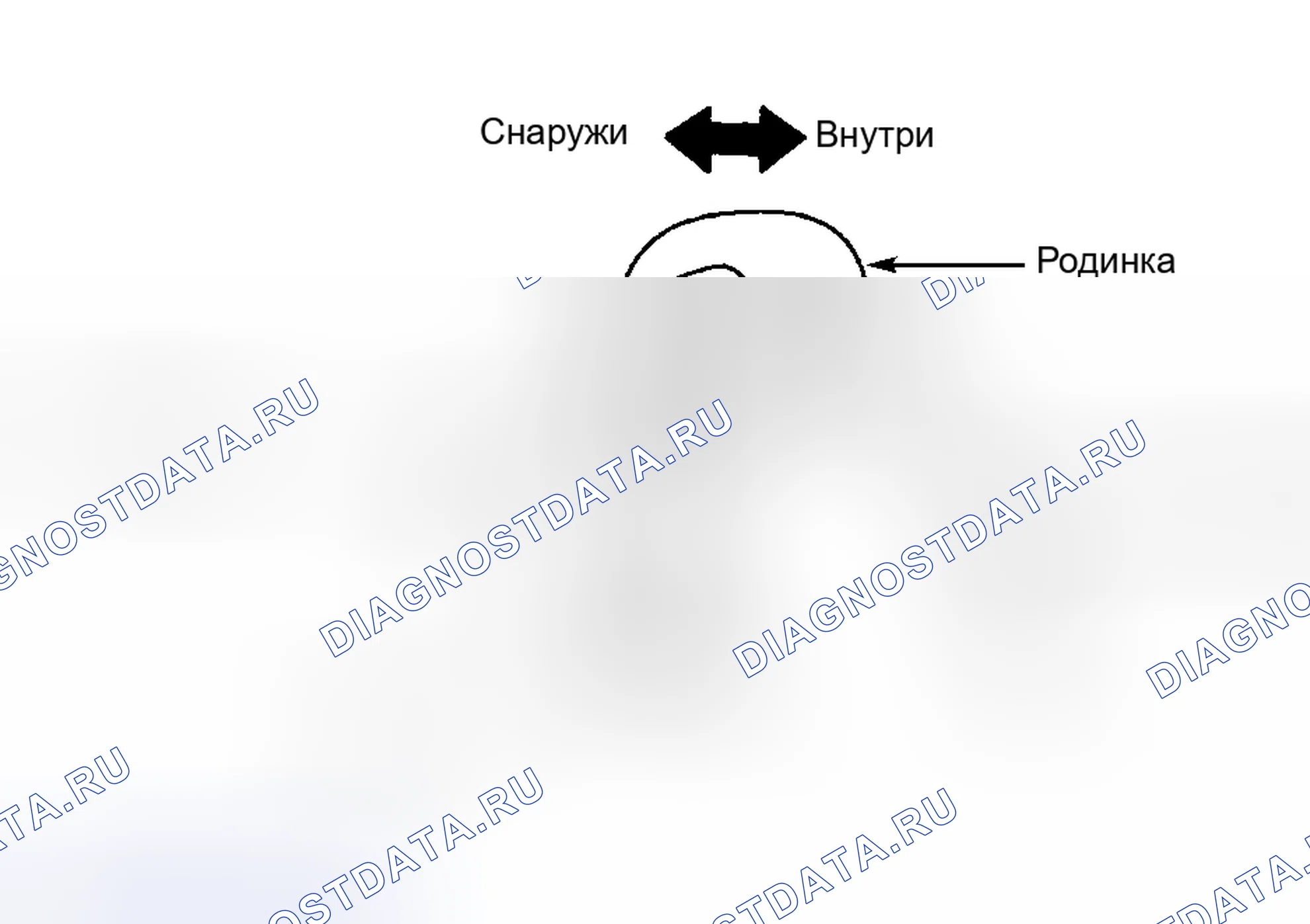 Рис. 13. Subaru Outback BH