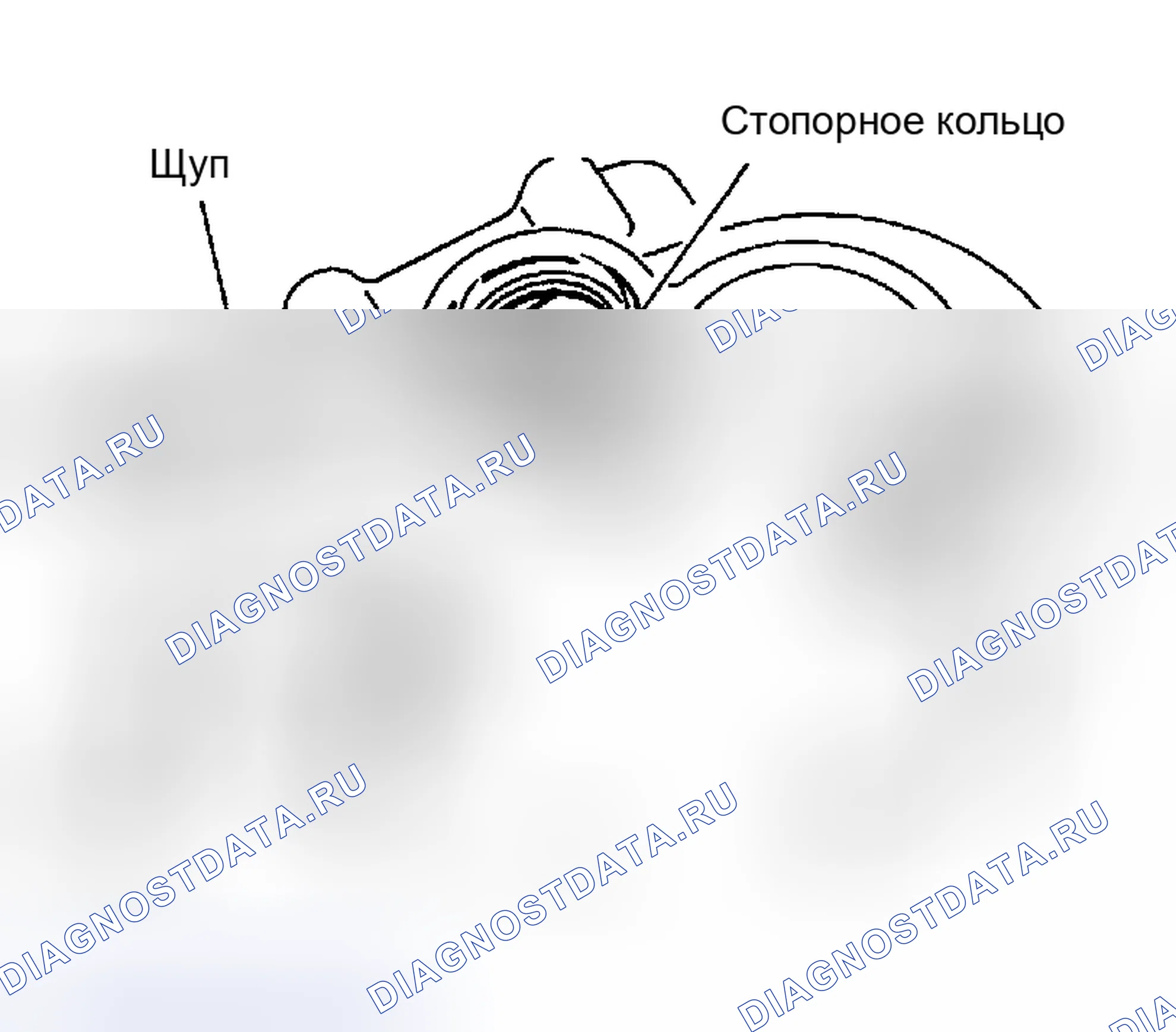 Рис. 71. Nissan Sentra B15