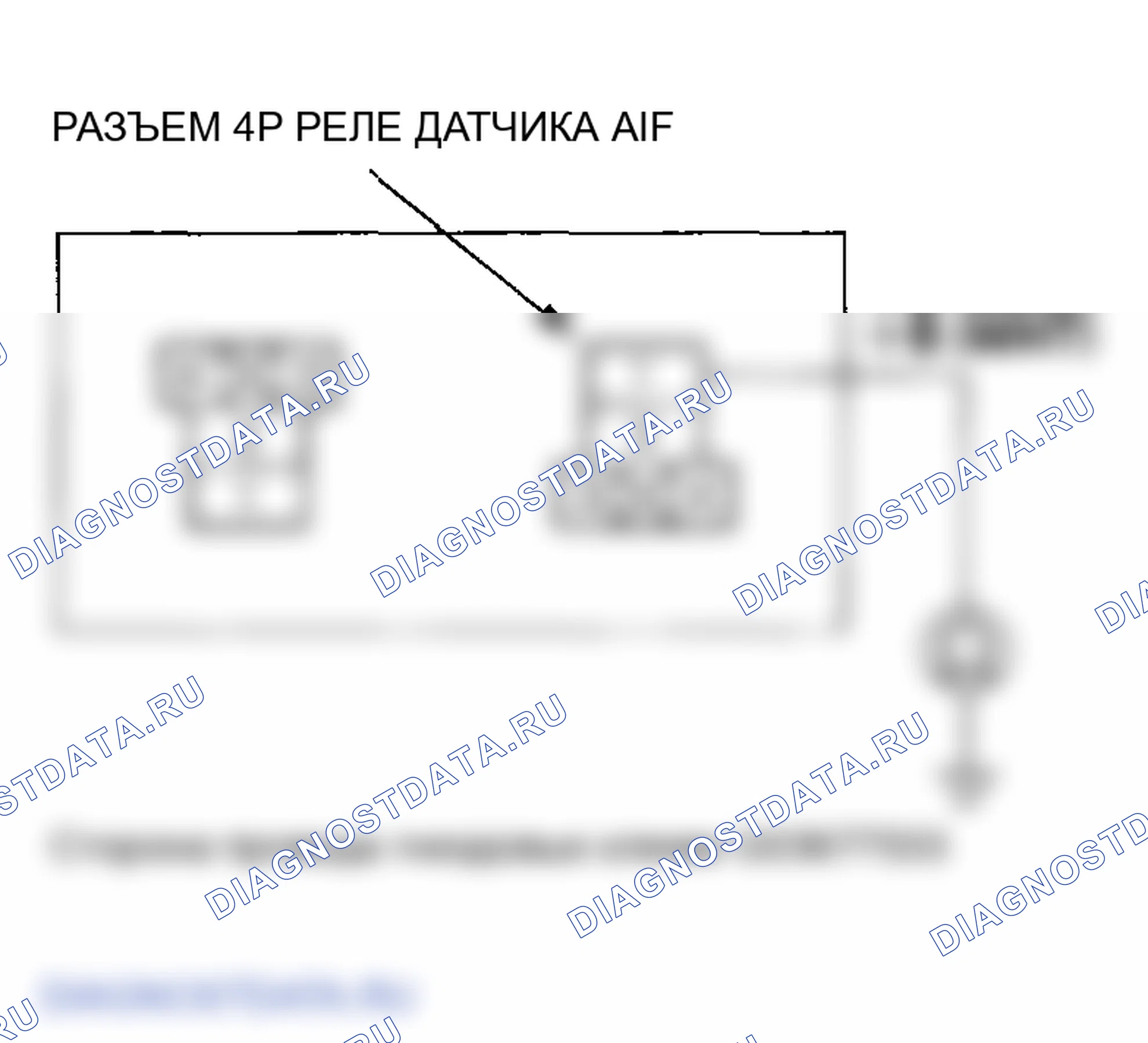 Рис. 98. Honda Element YH2