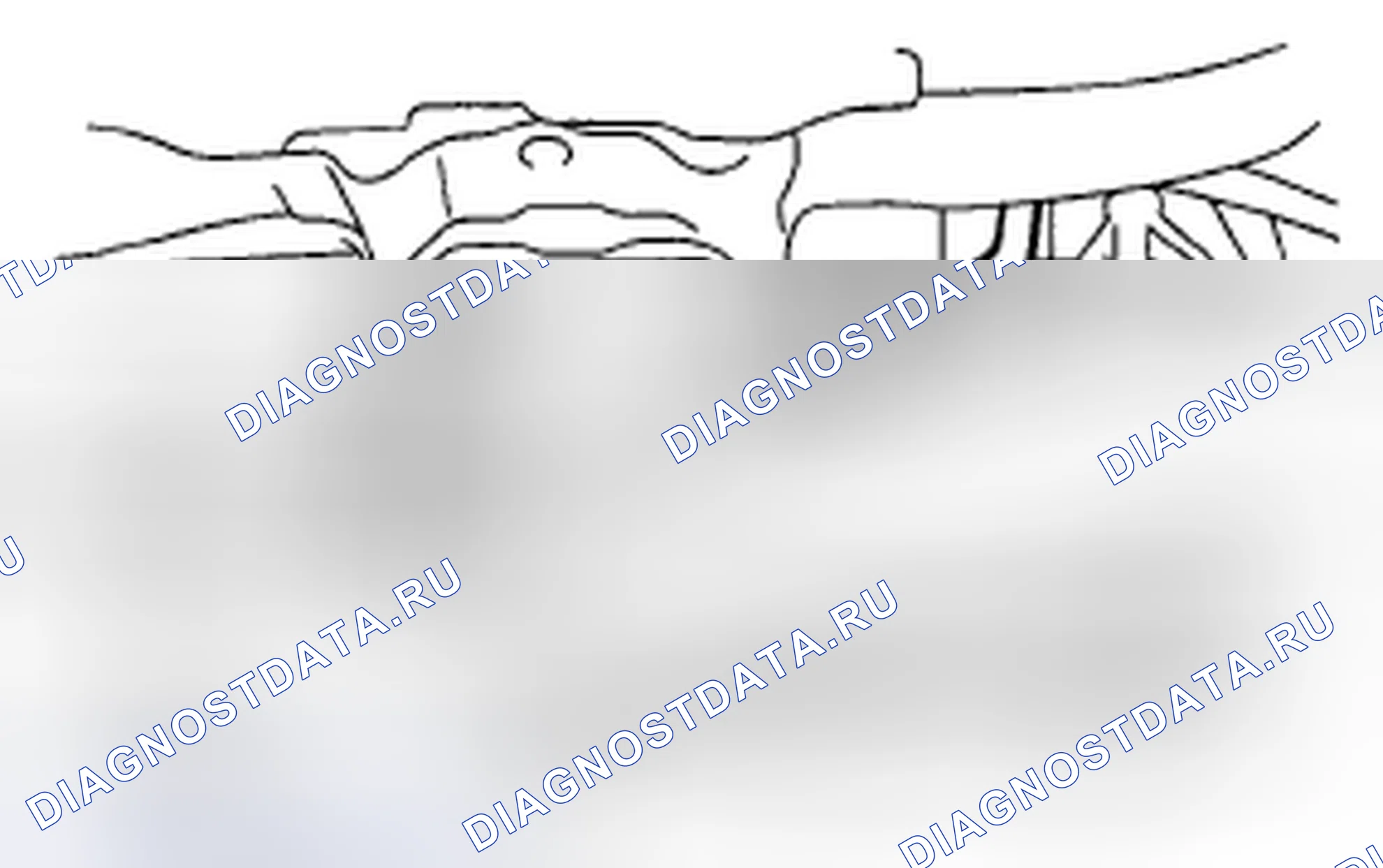 Рис. 288. Subaru Legacy BL/BP рестайлинг