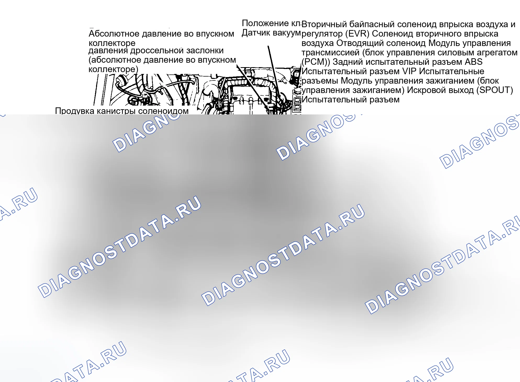 Рис. 5: Расположение компонентов (5 из 9). Ford Bronco V