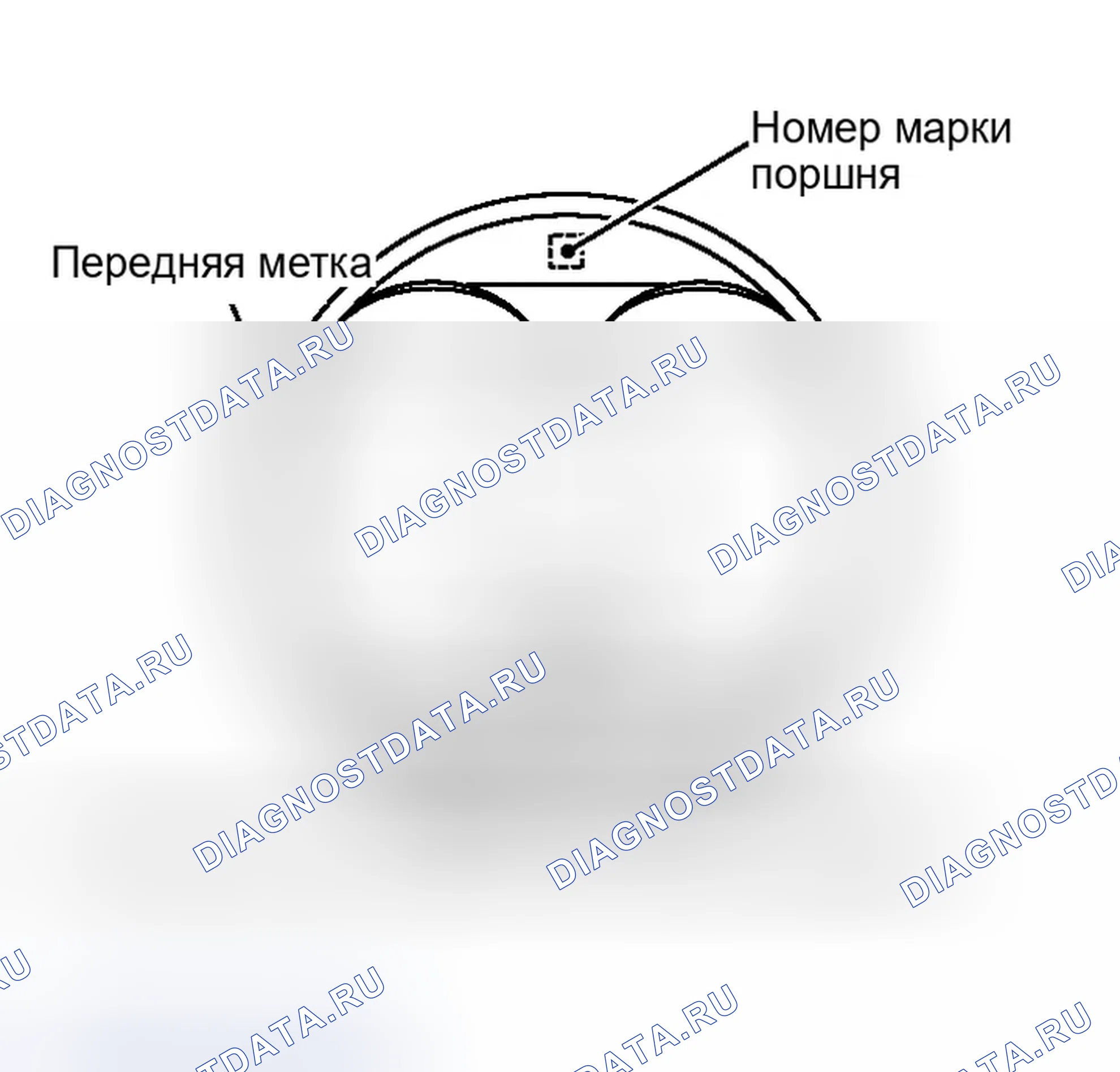 Рис. 1059. Infiniti G35 III
