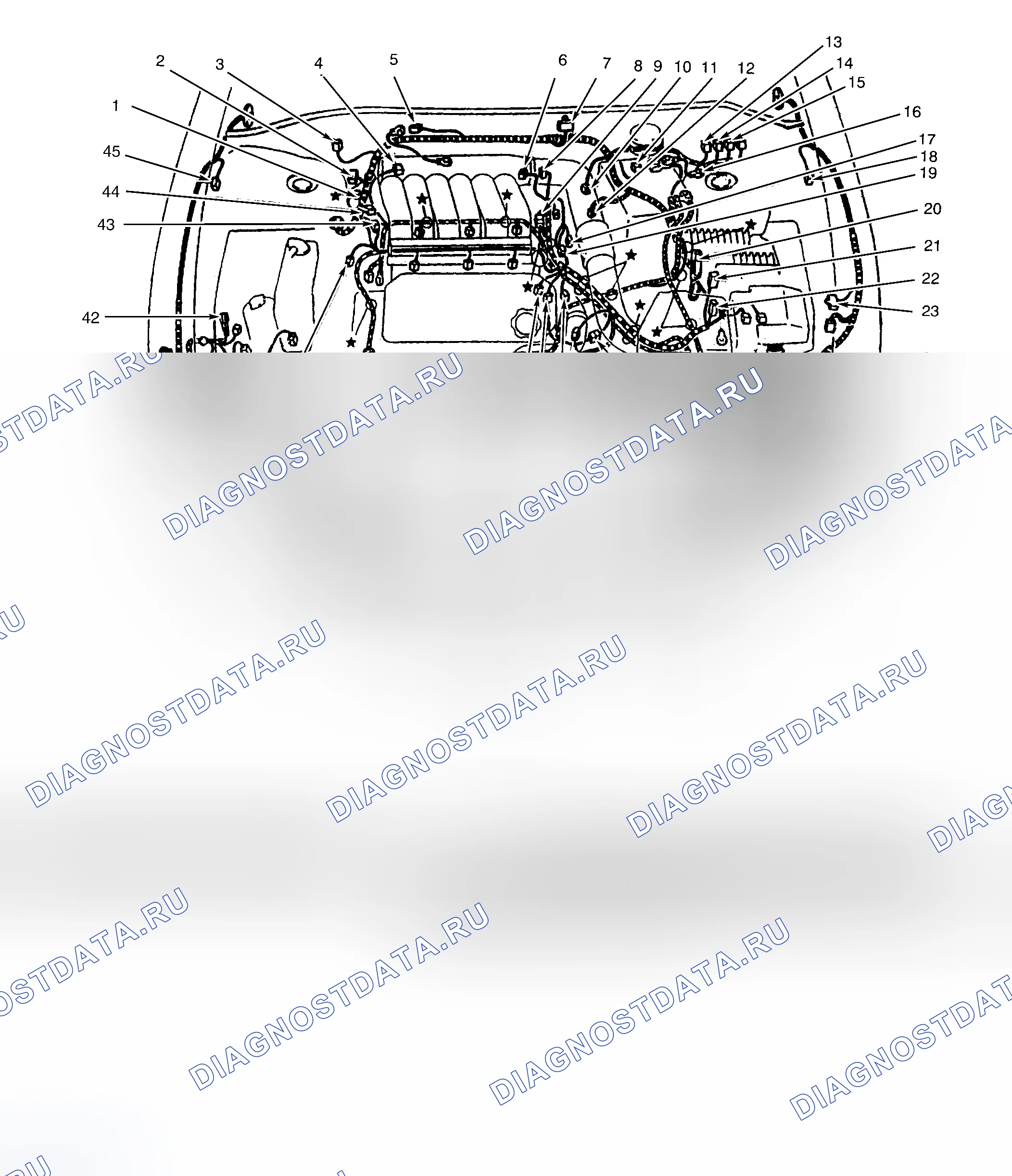Рис. 2: Моторный отсек (2.5L). Chrysler Sebring I