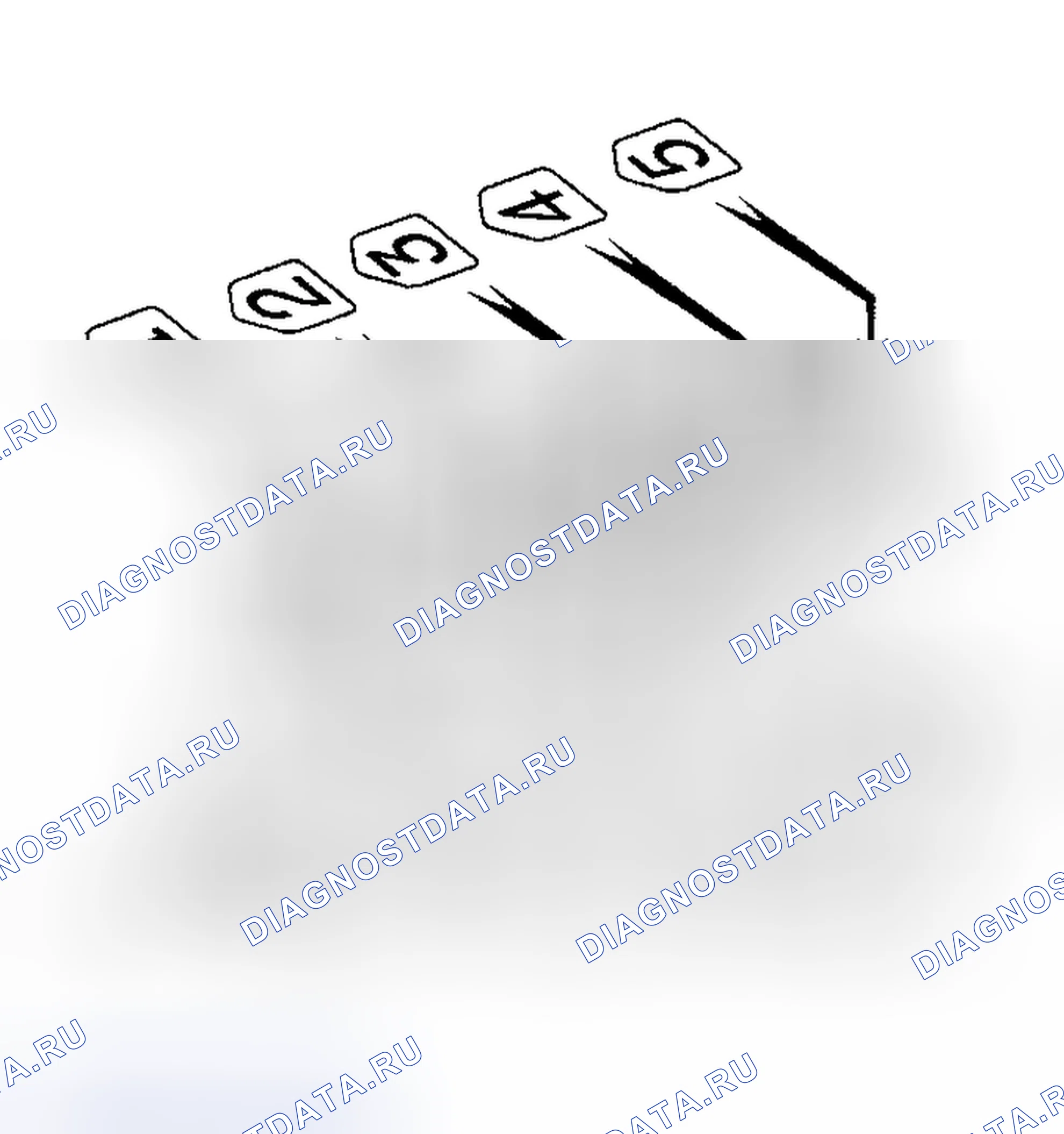 Рис. 306. Haval Xiaolong Max I