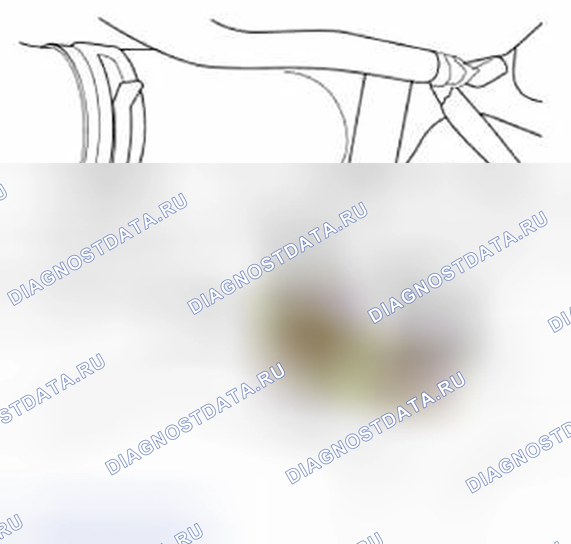 Рис. 2. Land Rover Range Rover Sport I