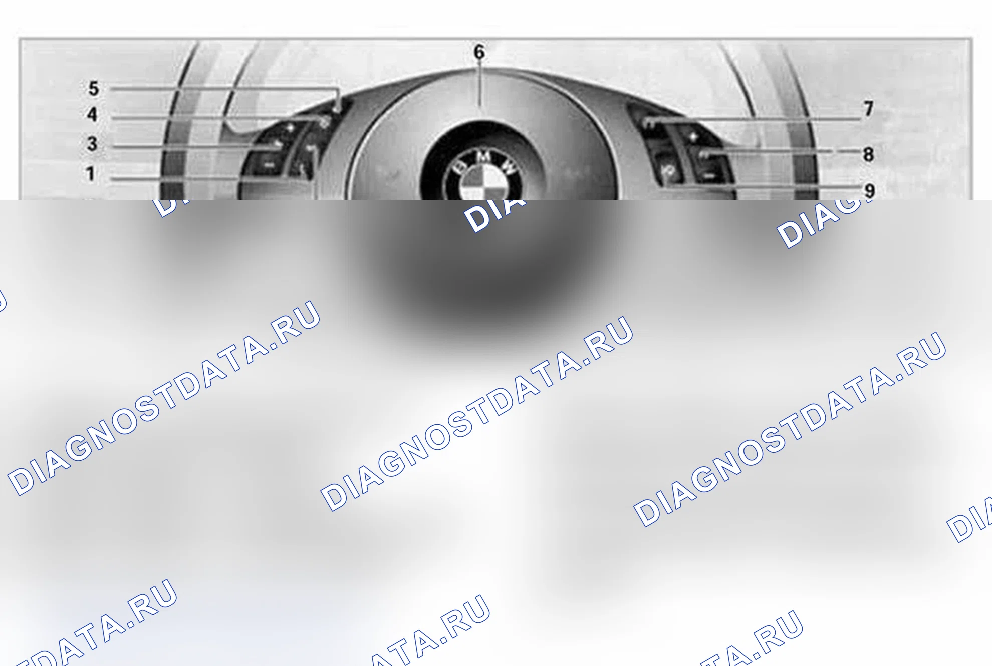 Рис. 339: Спортивный руль. BMW X5 E53