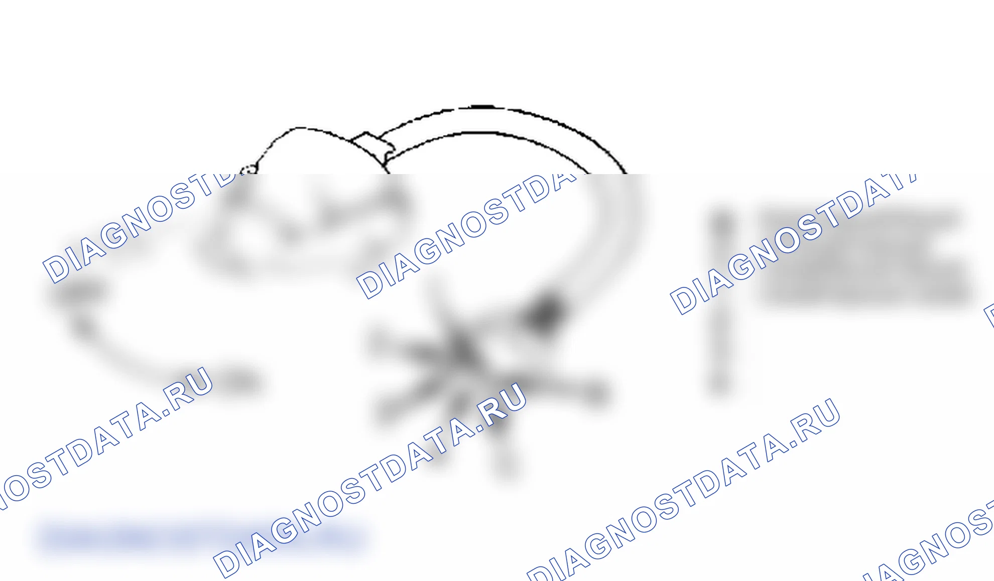 Рис. 9: Разъем выключателя воздуходувки. Hyundai Excel I