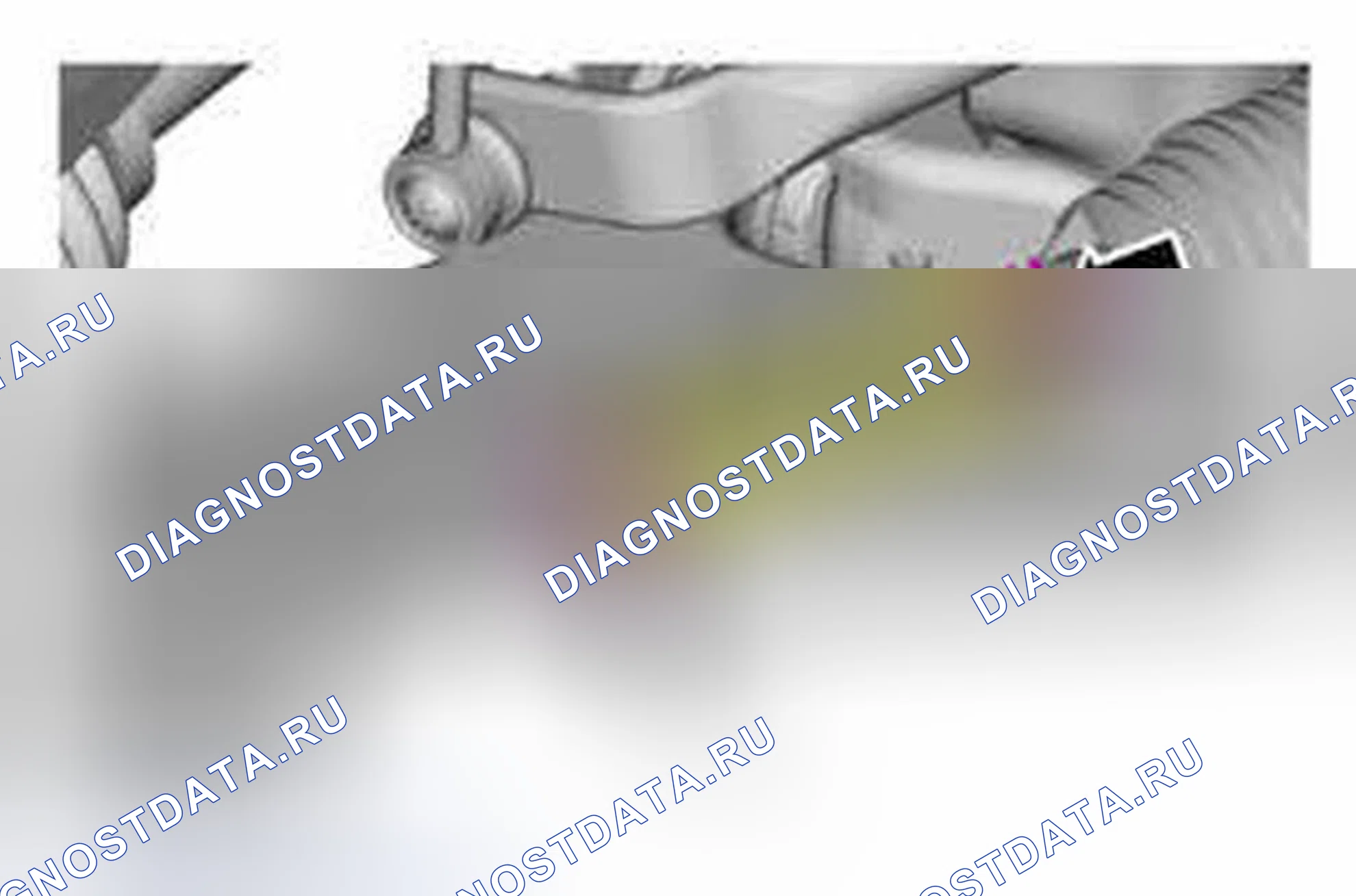 Рис. 54: Регулировка переднего носка. Ford Escape III