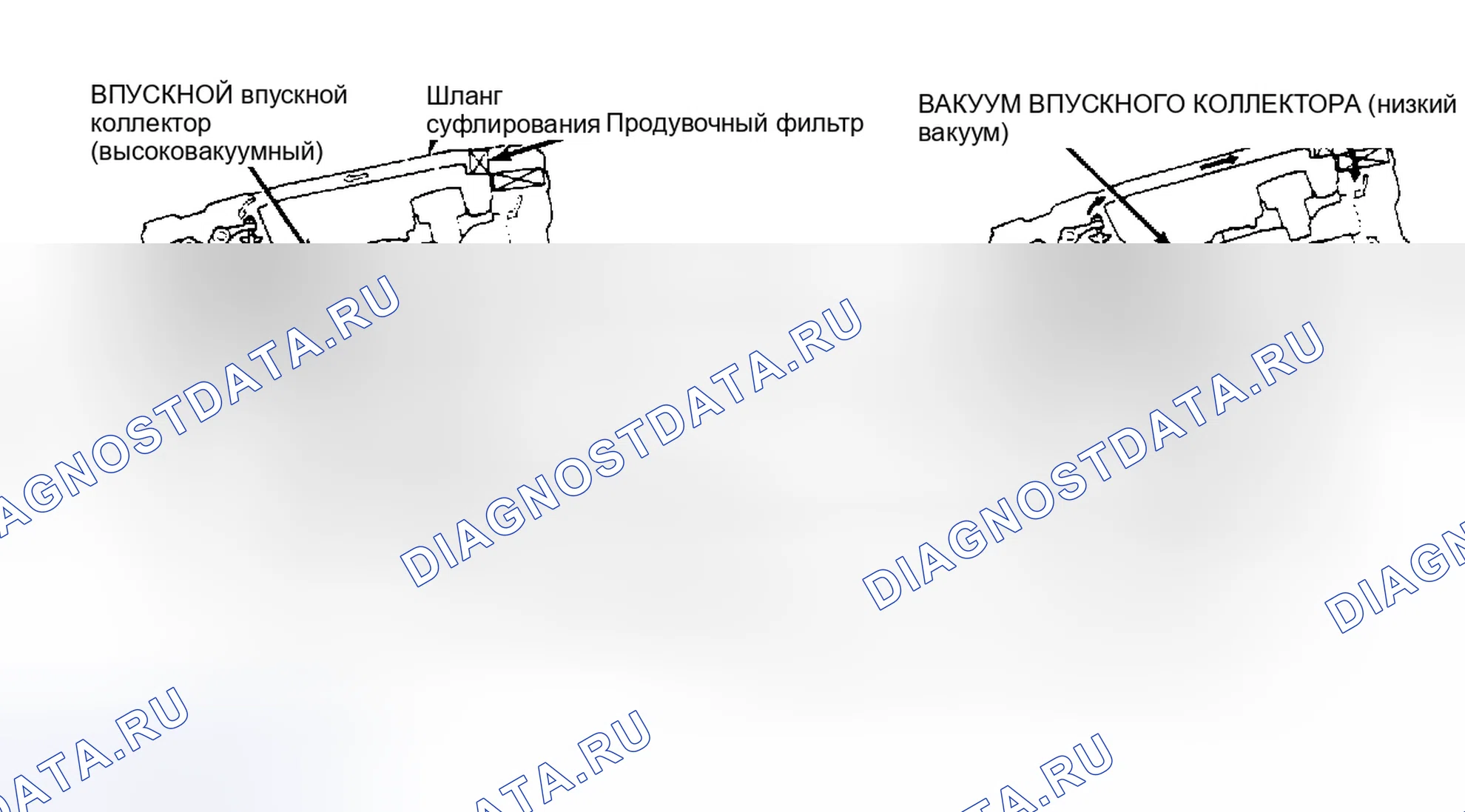 Рис. 8: Система вентиляции картера (Prelude). Honda Prelude II