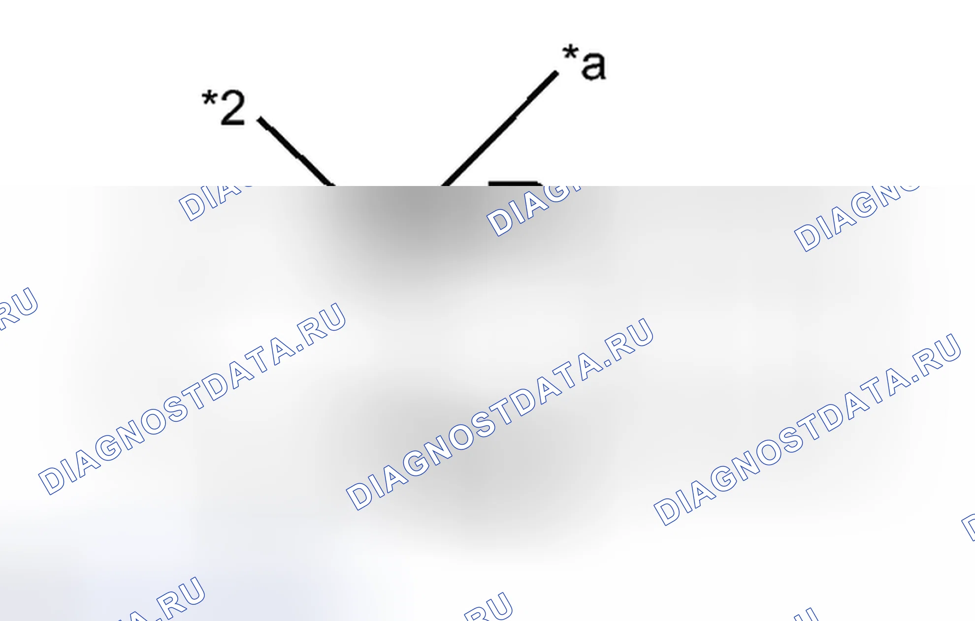 Рис. 74: МОНТАЖ [06 / 2012 -]. Lexus ES XV60
