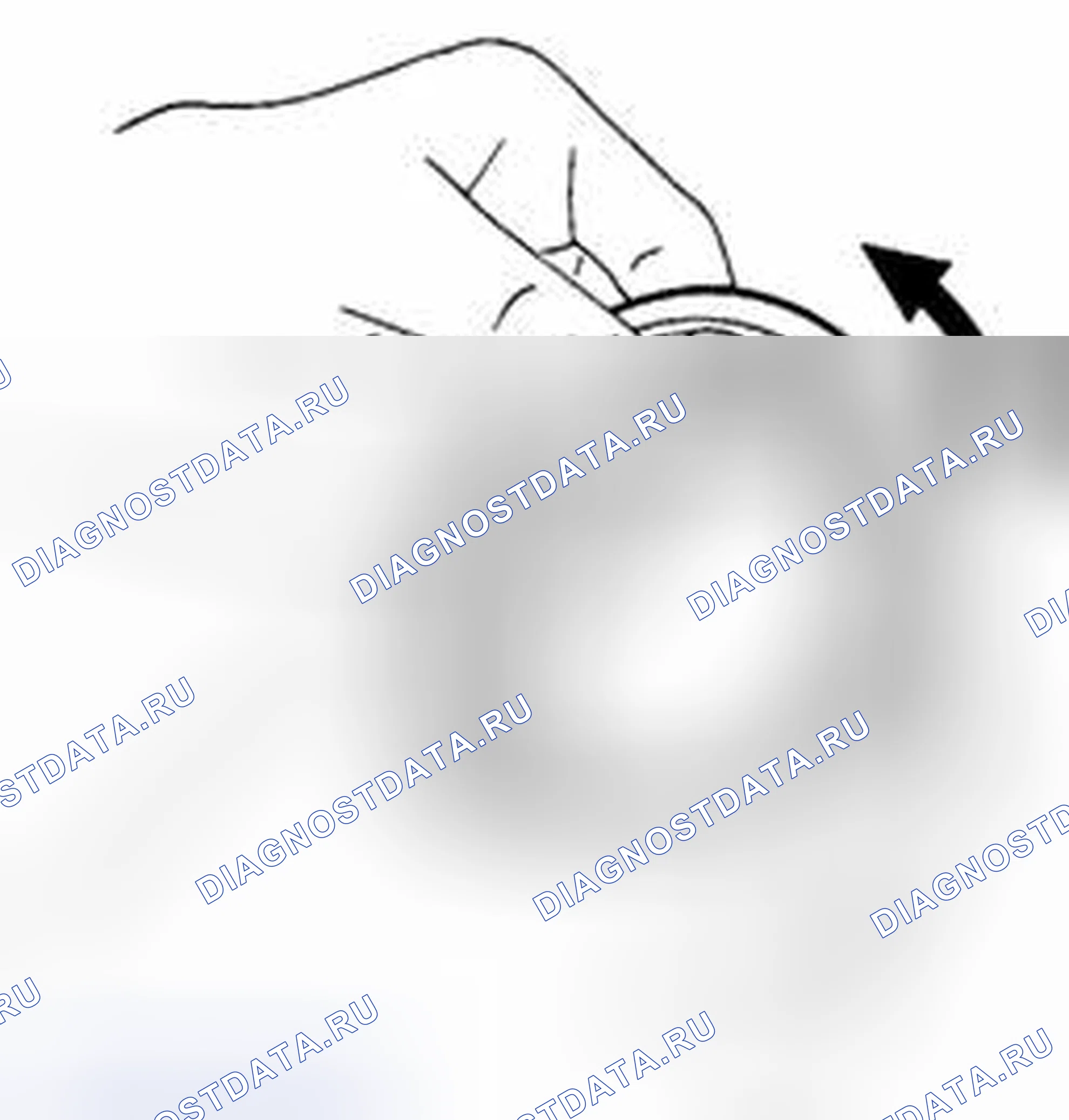 Рис. 180: Подшипник. Suzuki Equator I