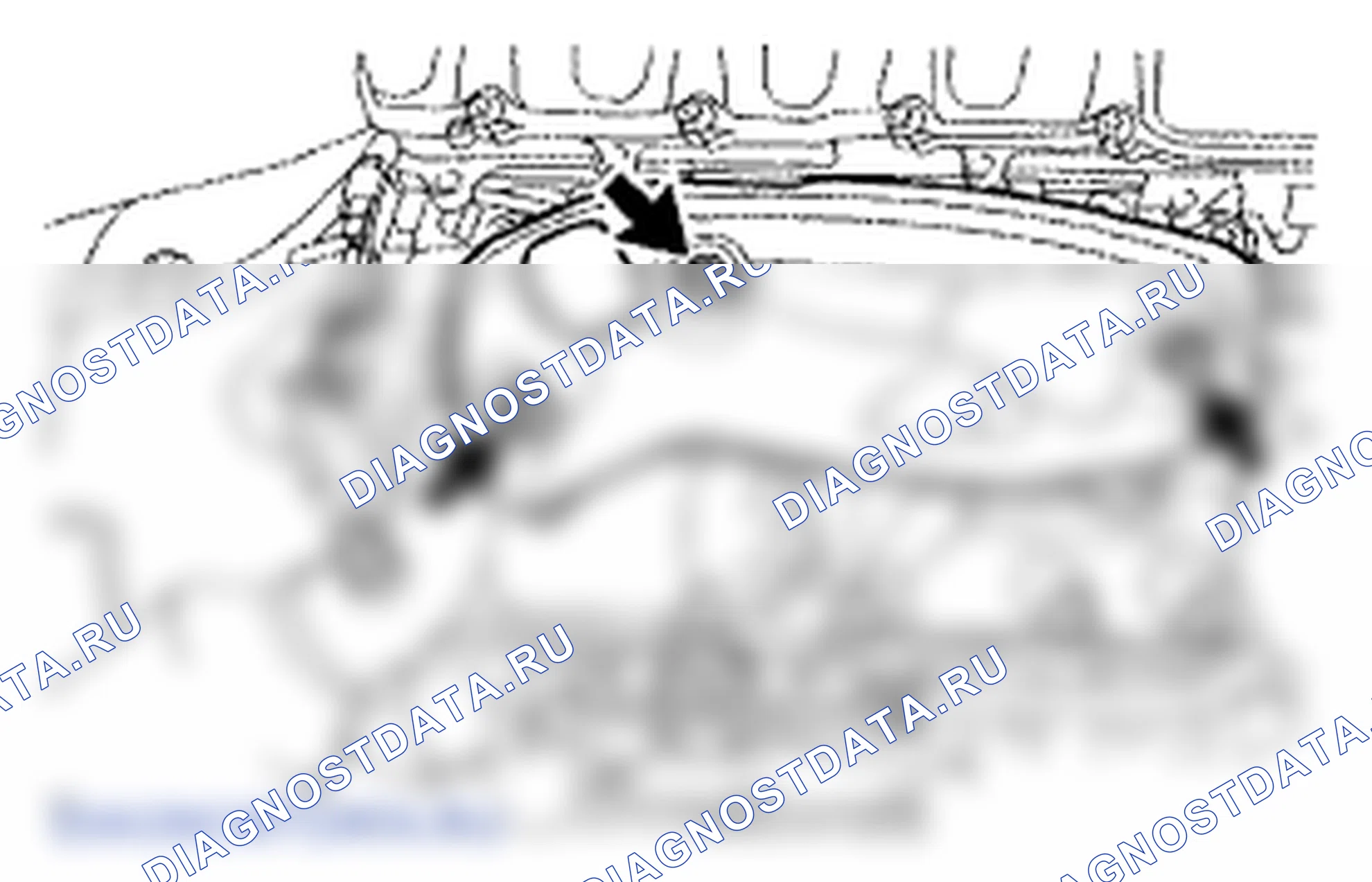 Рис. 16. Lexus LS IV