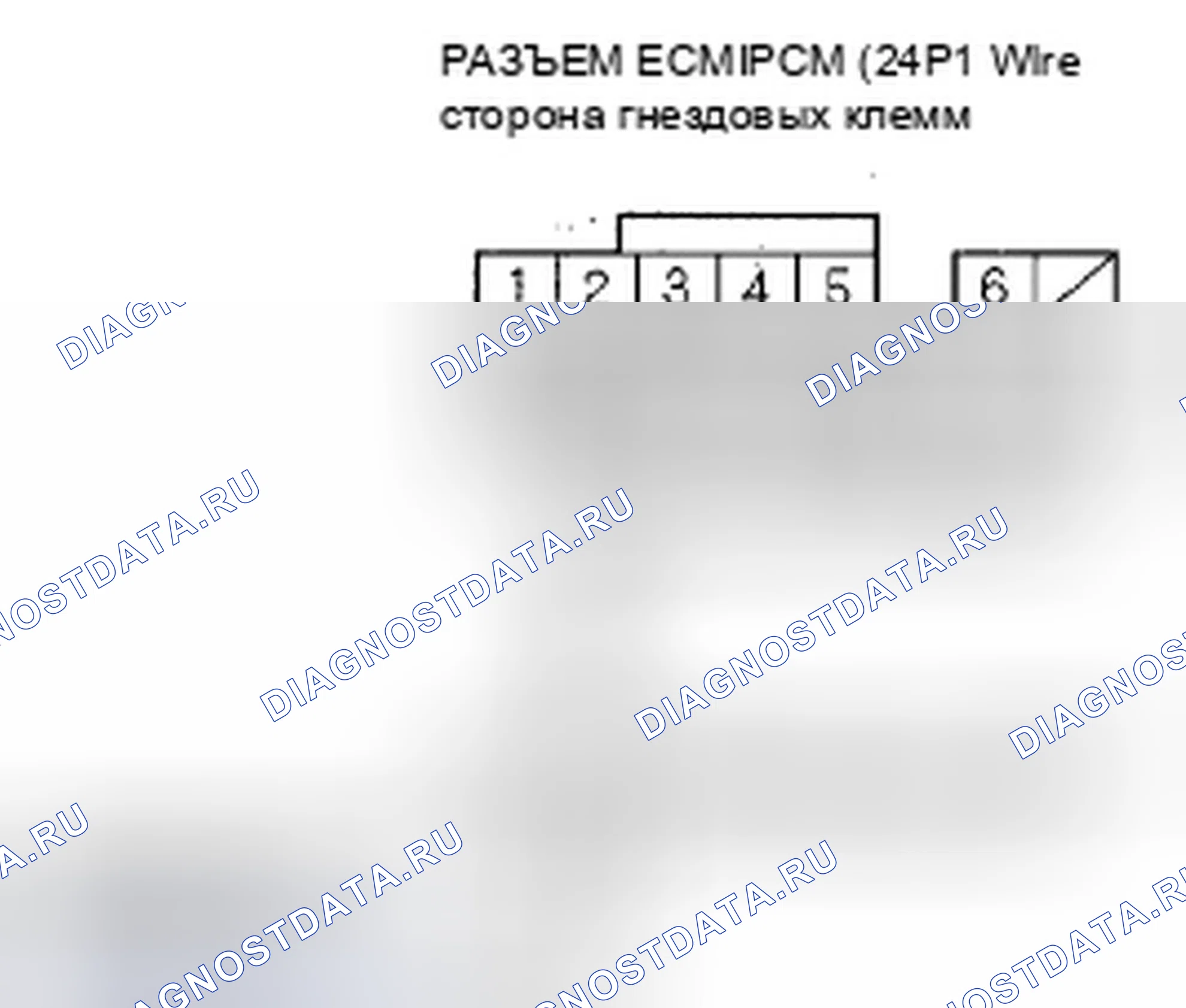 Рис. 14. Honda Element YH2 рестайлинг 2