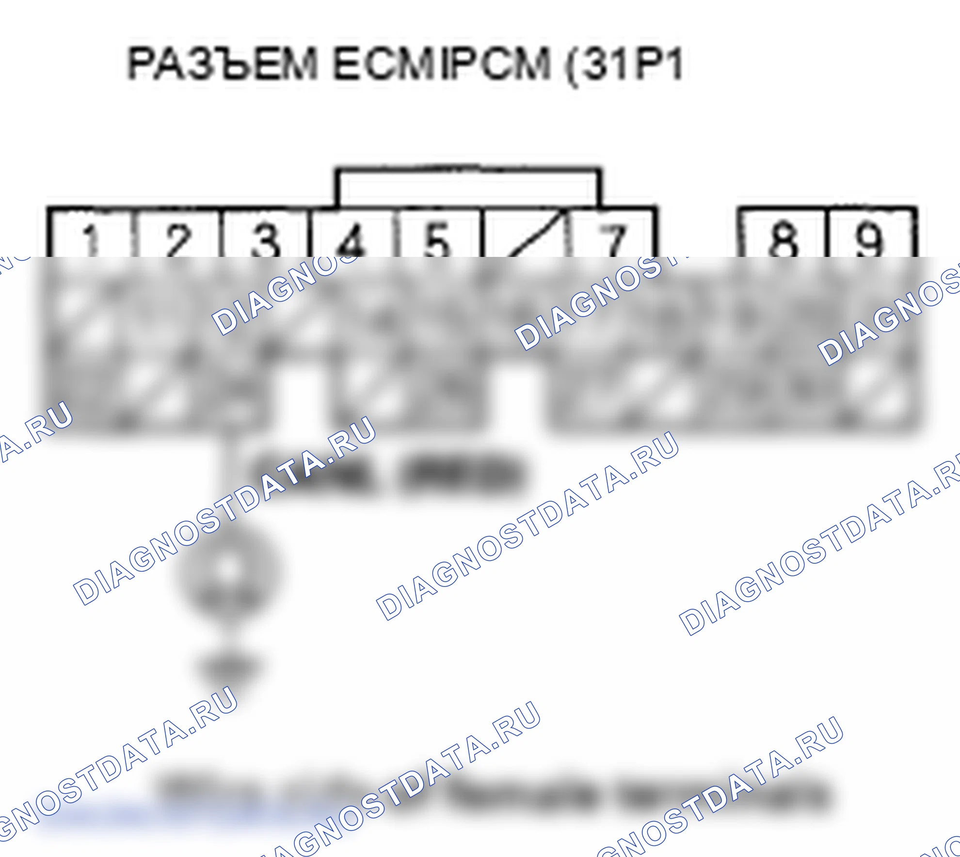 Рис. 444. Honda Element YH2 рестайлинг