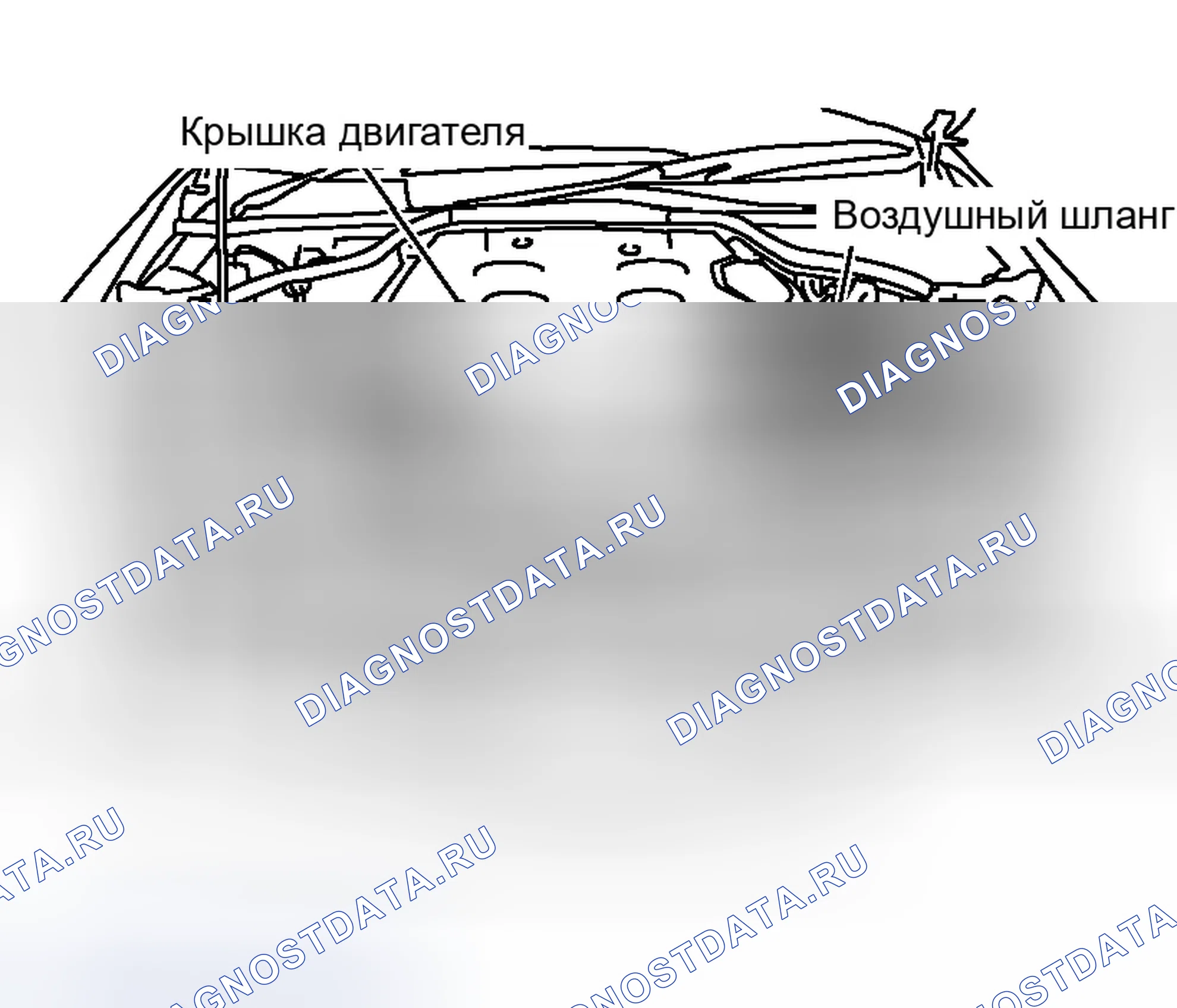 Рис. 808. Infiniti G35 III