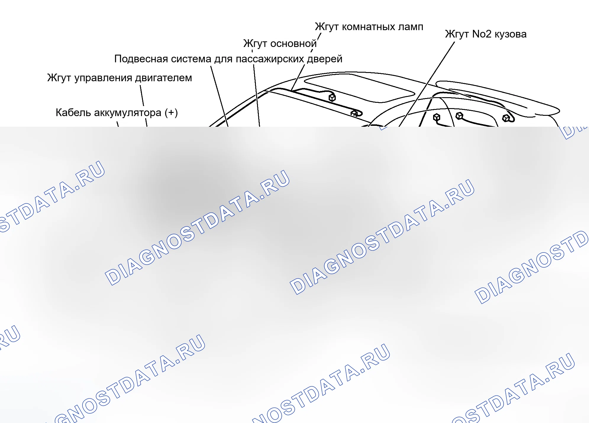 Рис. 204: КОНТУР. Infiniti G35 III