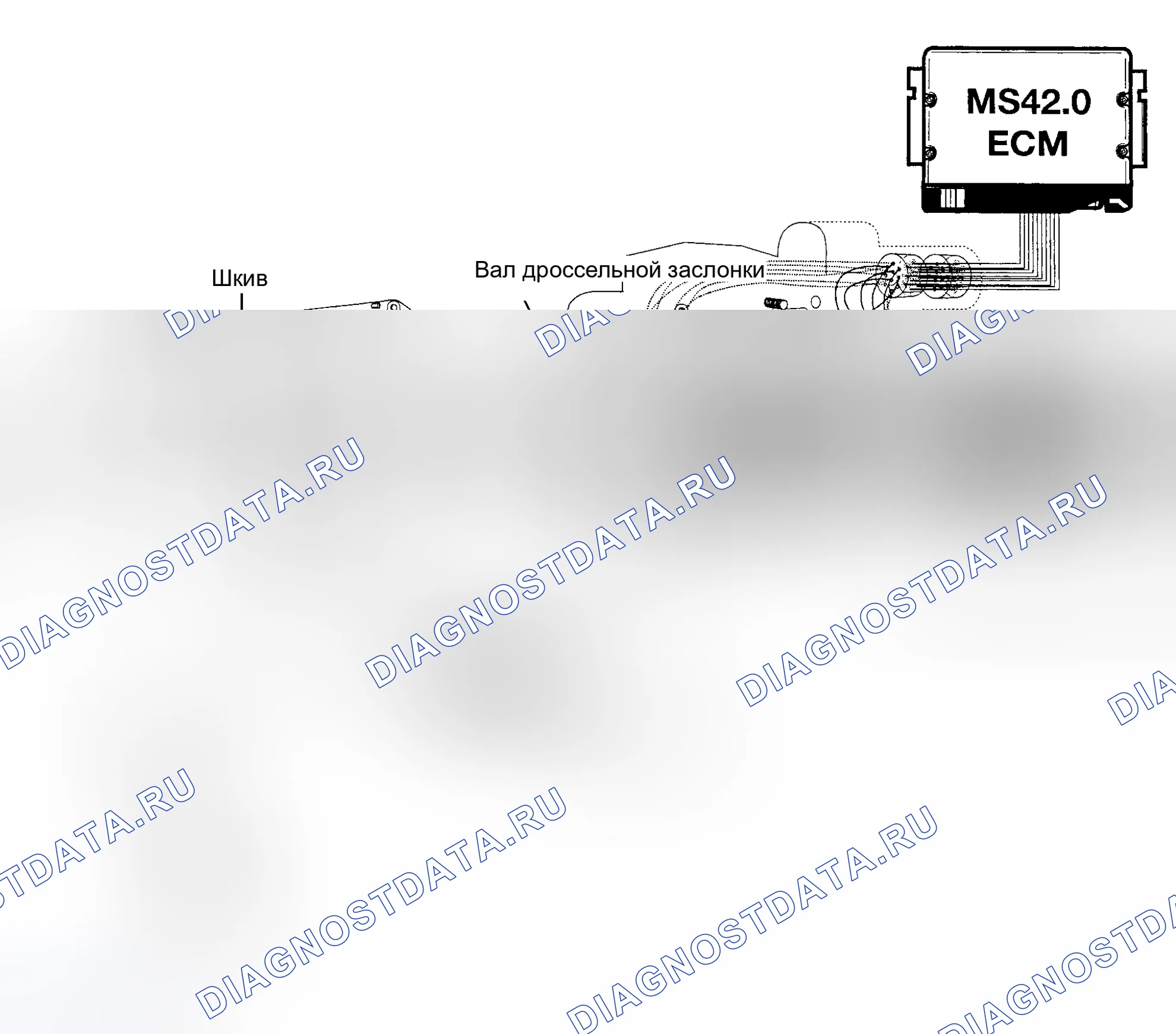Рис. 10: Дроссельная заслонка с электроприводом. BMW Z8 E52