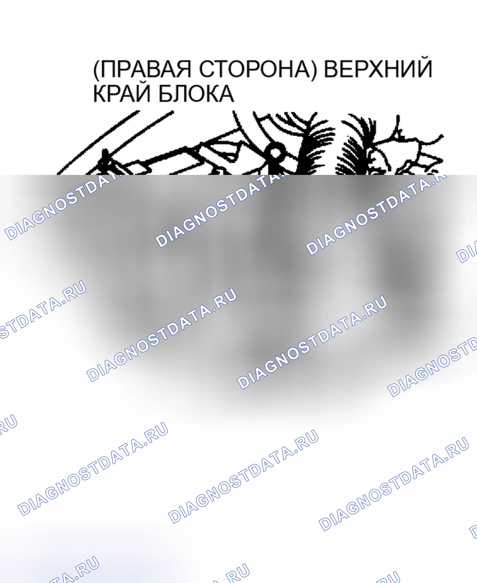 Рис. 5: Расположение кода двигателя (Montero, Sigma, Raider 3.0L). Mitsubishi Mirage III