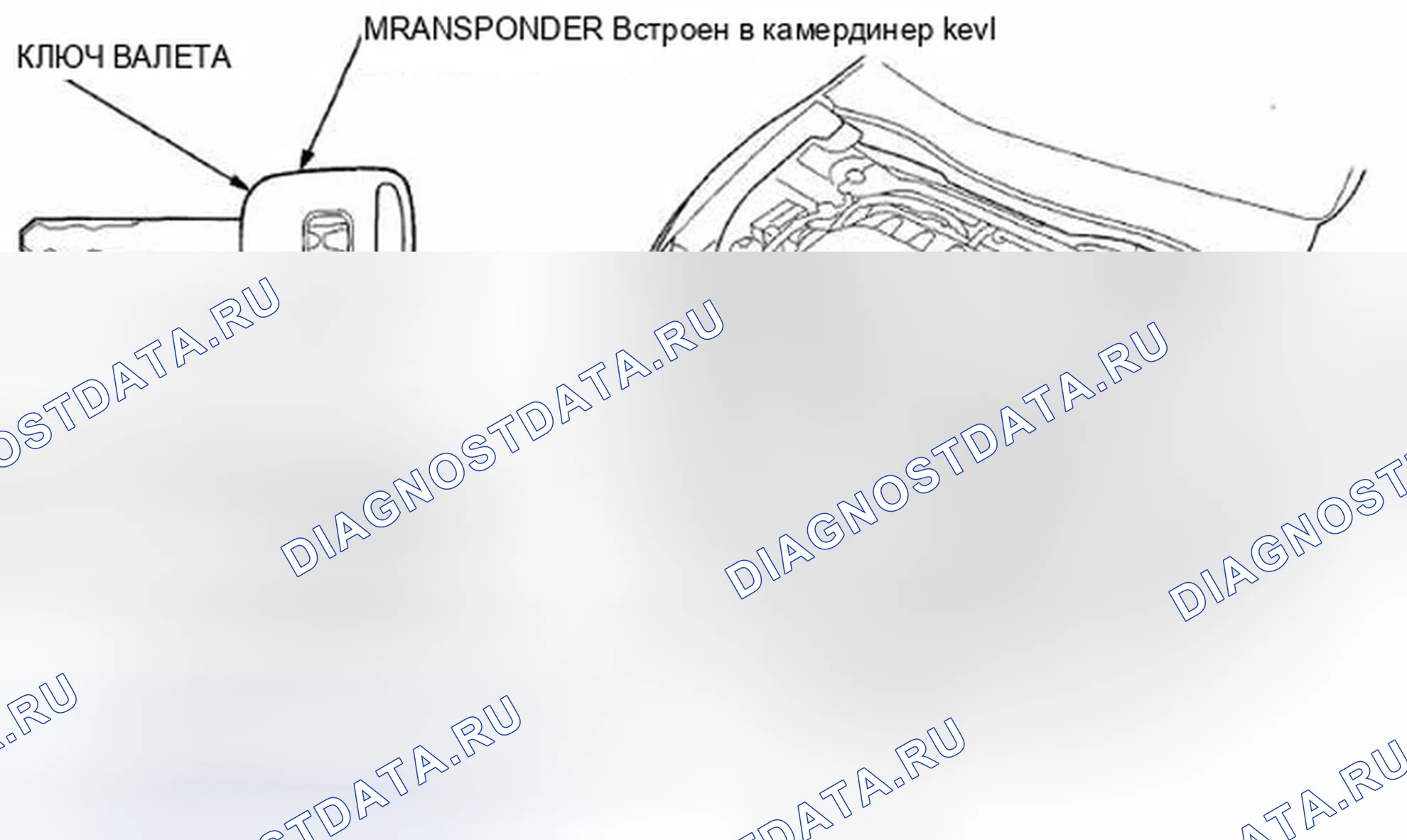 Рис. 2. Honda Crosstour I