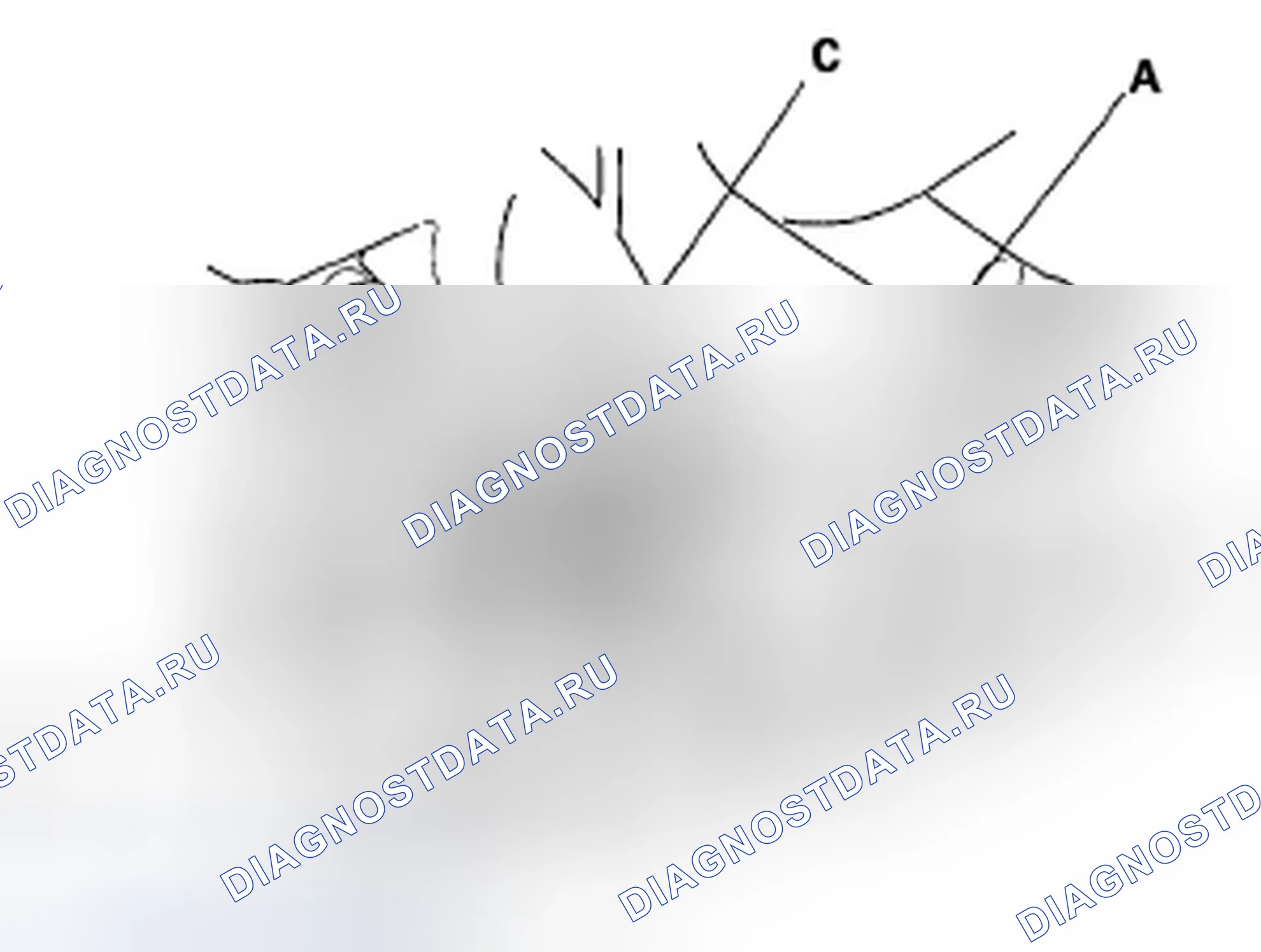 Рис. 22. Honda Element YH2 рестайлинг 2