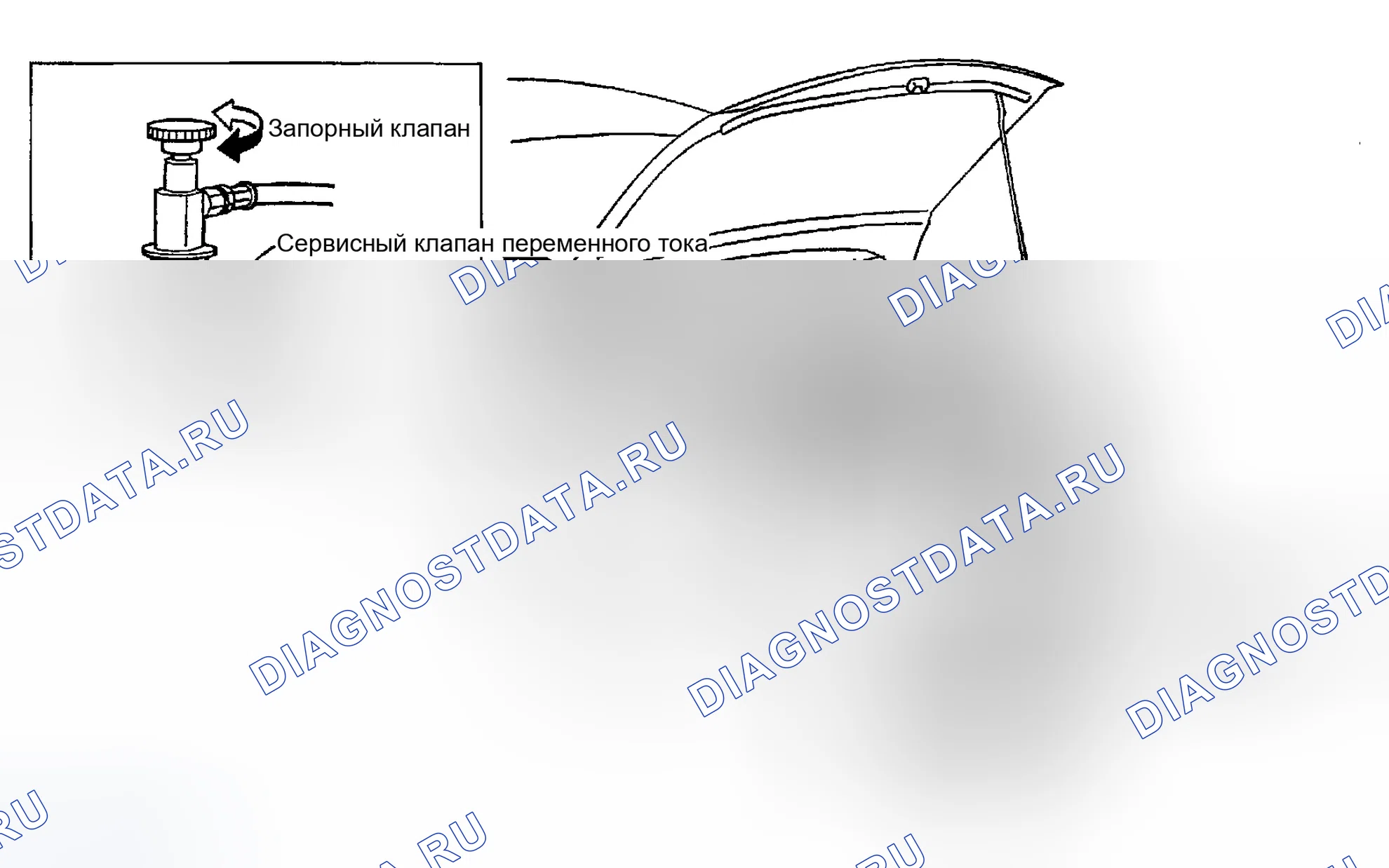 Рис. 260. Infiniti FX45 I
