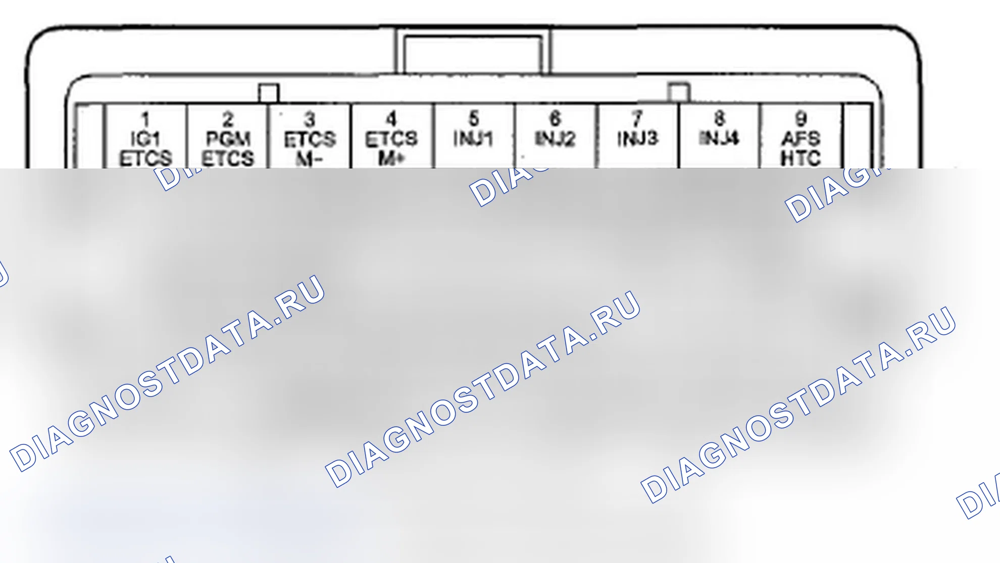 Рис. 23: Входы и выходы ИКМ разъема C (o) (44P). Acura RDX I рестайлинг