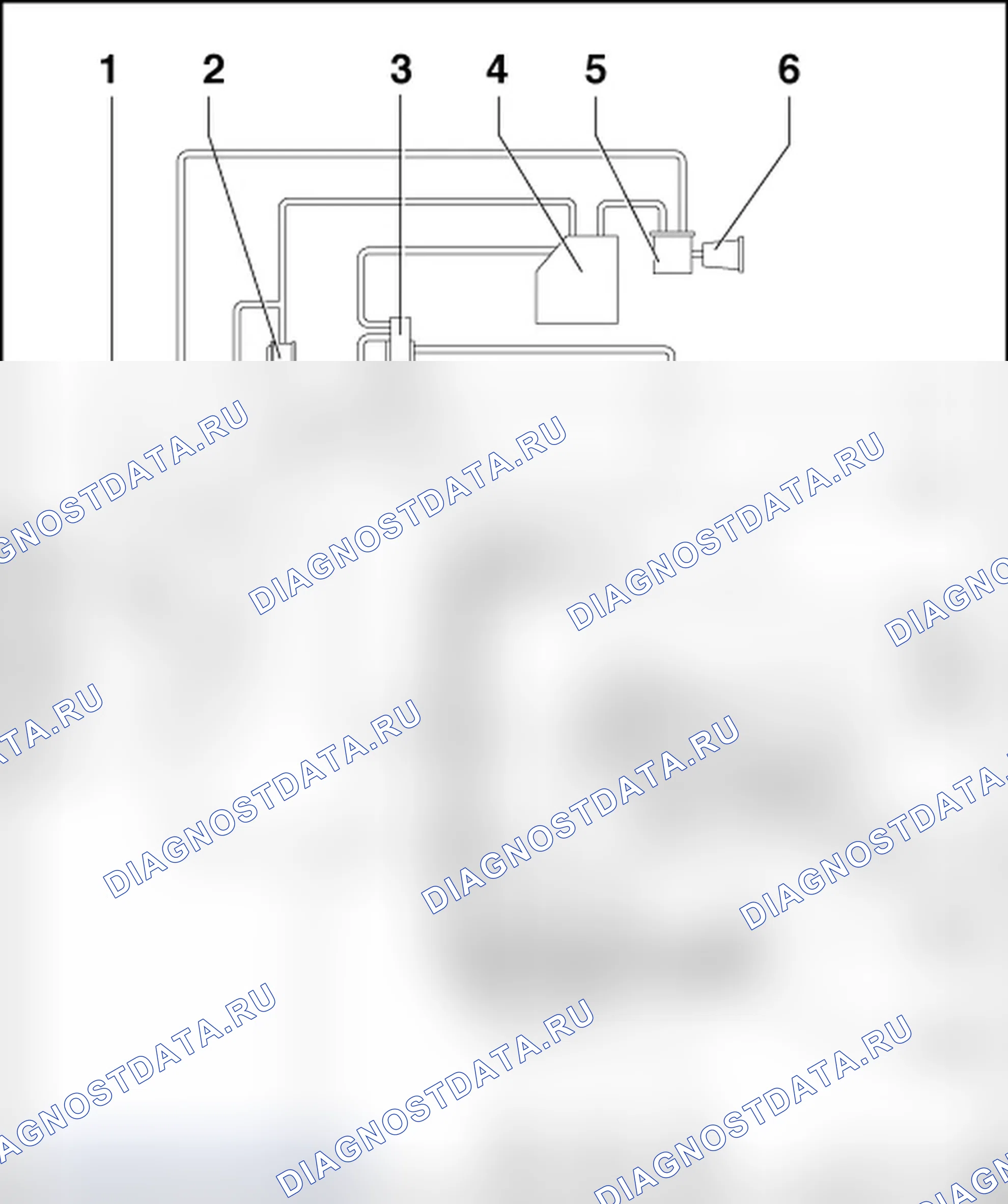 Рис. 10: СХЕМА ПОДКЛЮЧЕНИЯ СИСТЕМЫ EVAP. Volkswagen New Beetle A4