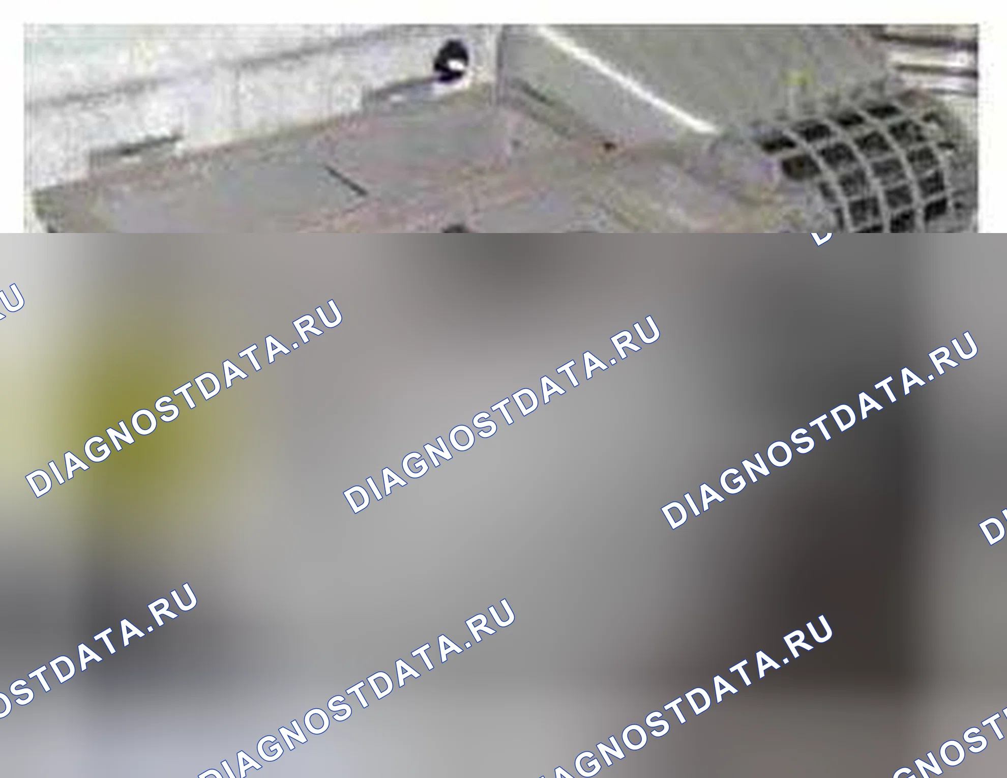 Рис. 231: Расположение компонентов. BMW 6 серия F06/F13/F12