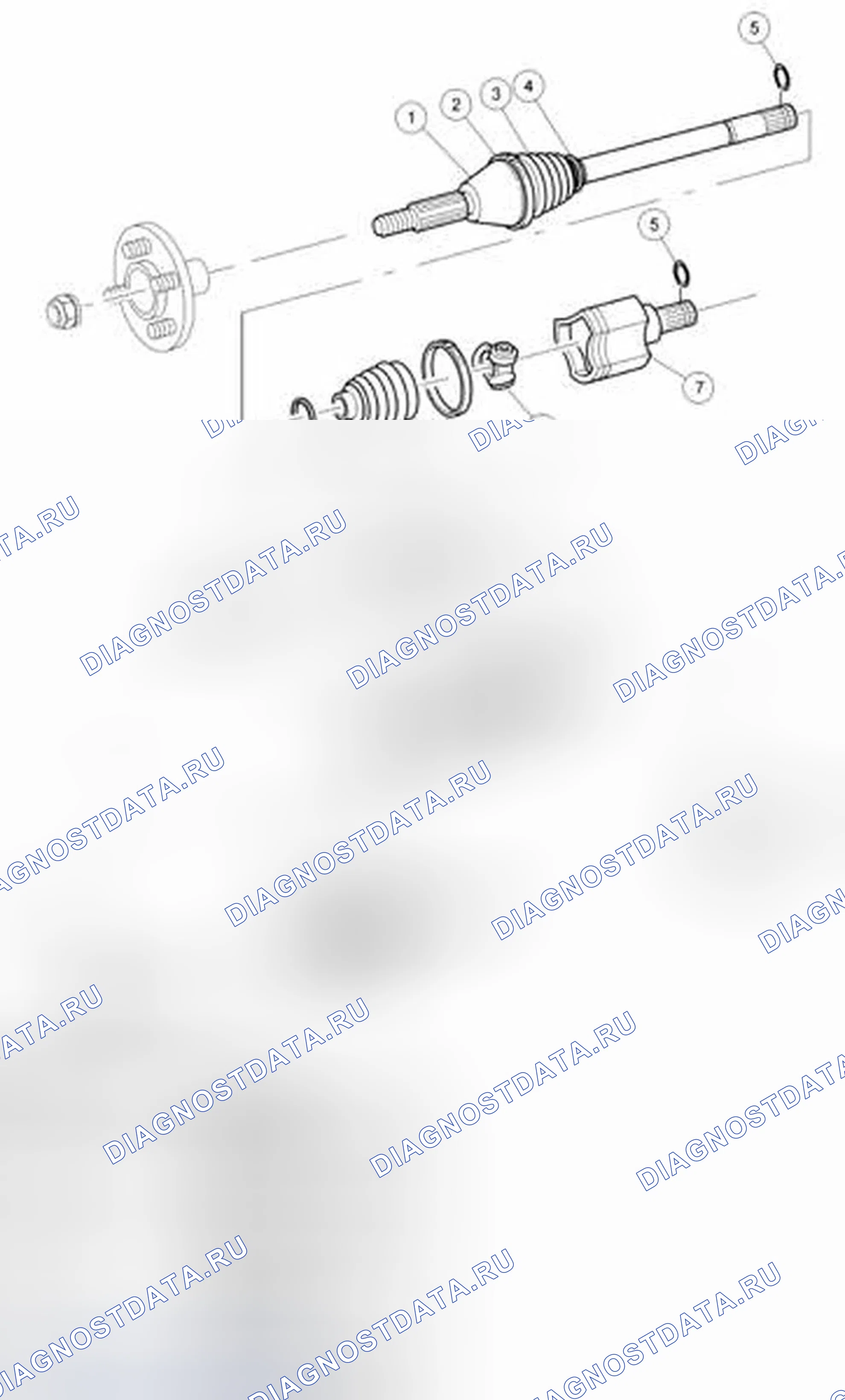 Рис. 1. Ford Focus II