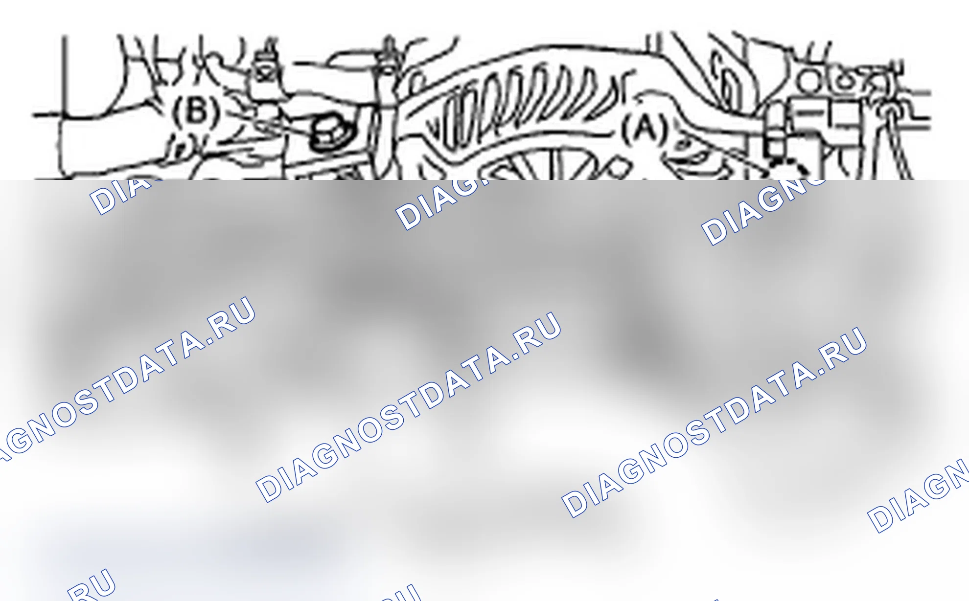 Рис. 457. Subaru Impreza WRX GH