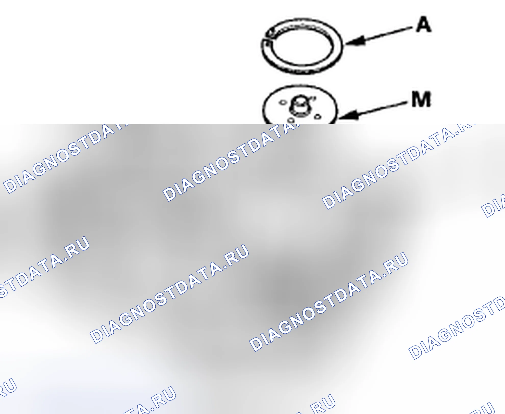 Рис. 2. Acura CSX I