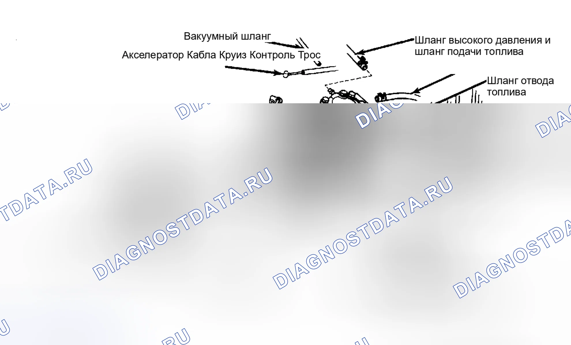 Рис. 42: Компоненты насоса впрыска дизельного топлива Toyota. Toyota Camry V10