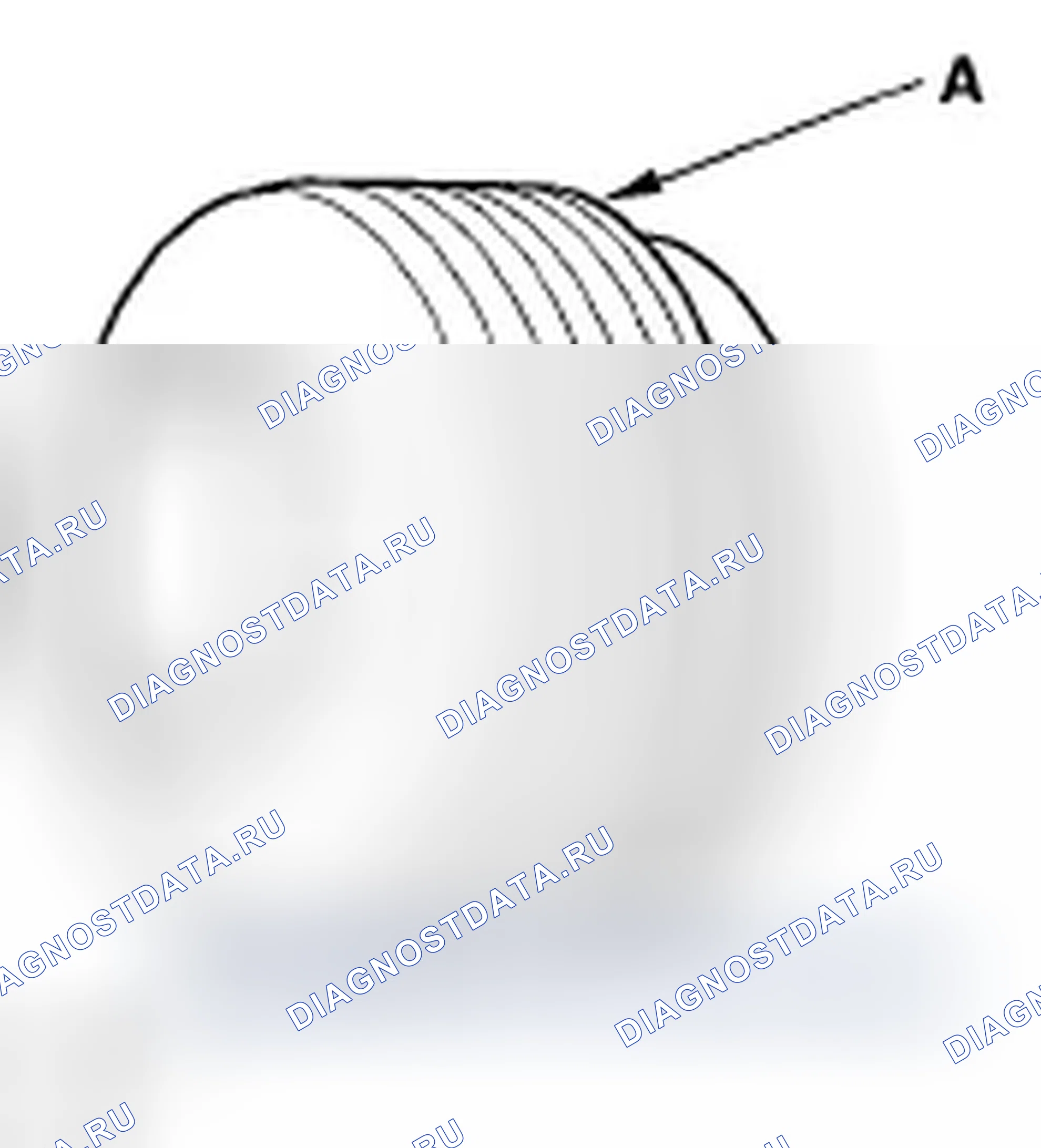 Рис. 125. Honda Civic VIII рестайлинг