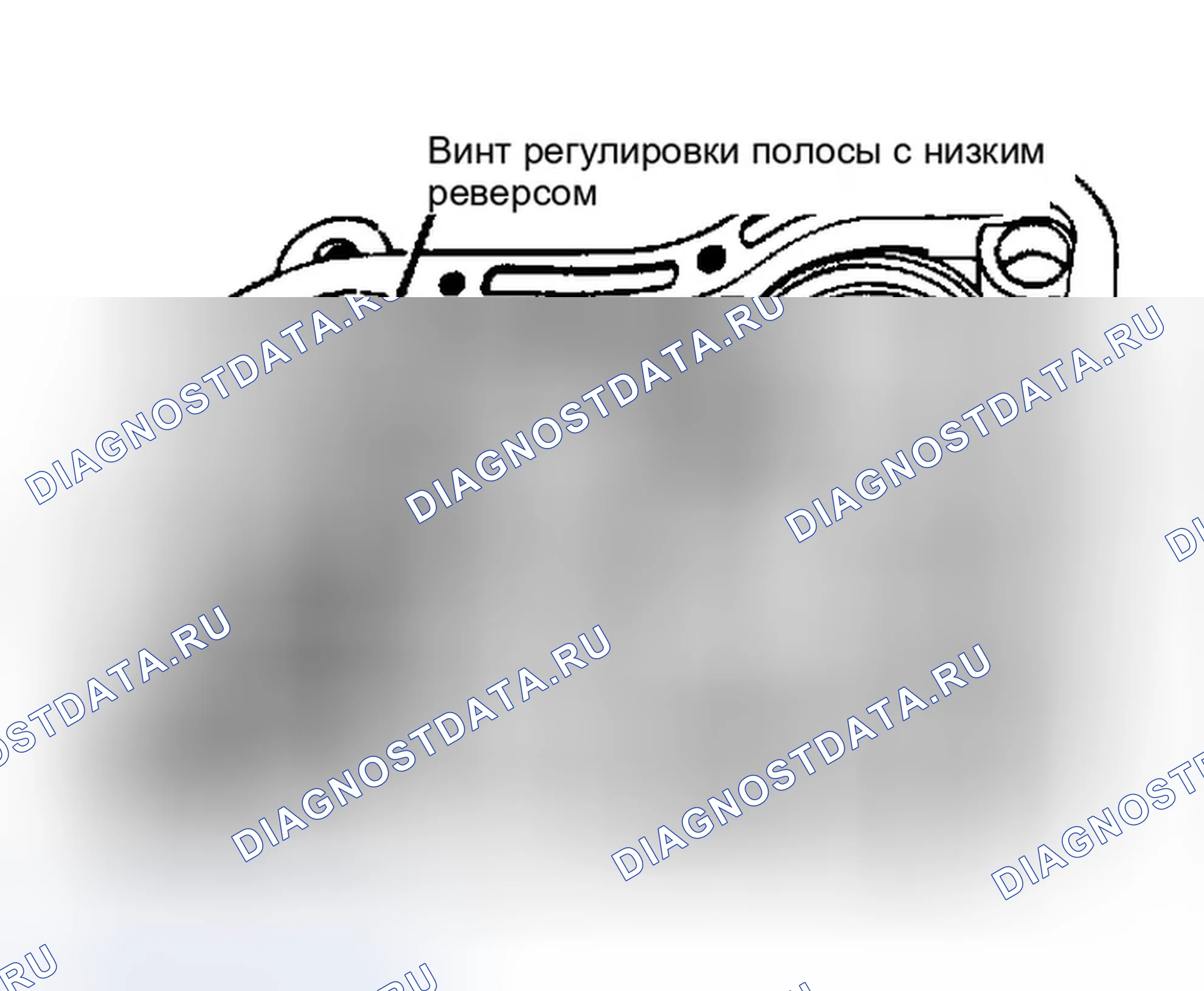Рис. 169. Dodge Dakota WS 