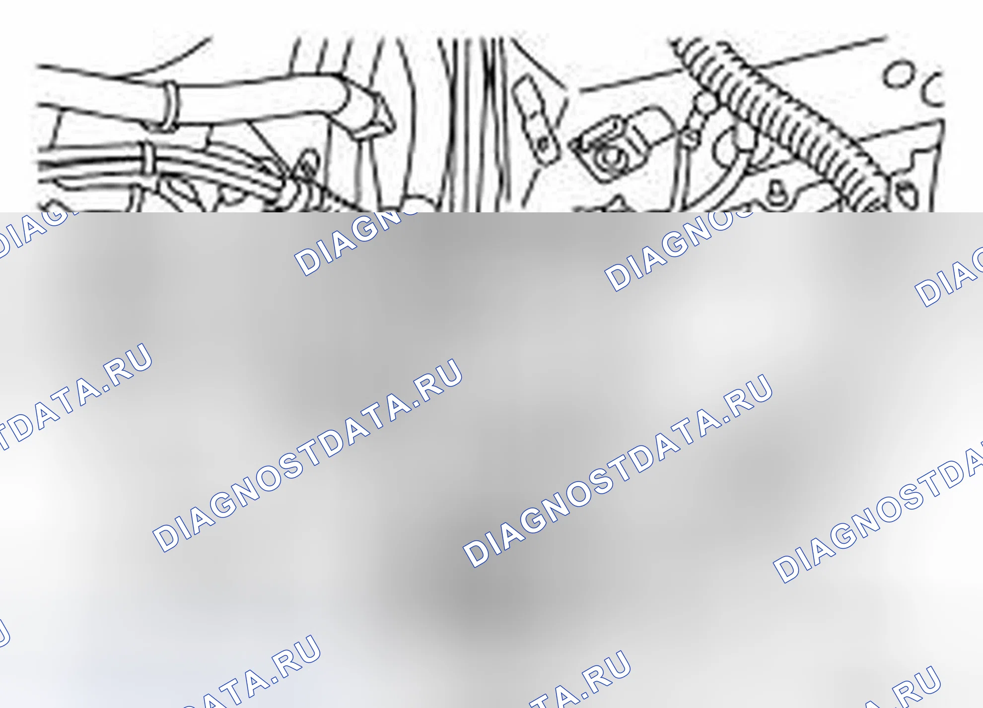 Рис. 12: ДЕМОНТАЖ. Infiniti G25 IV рестайлинг