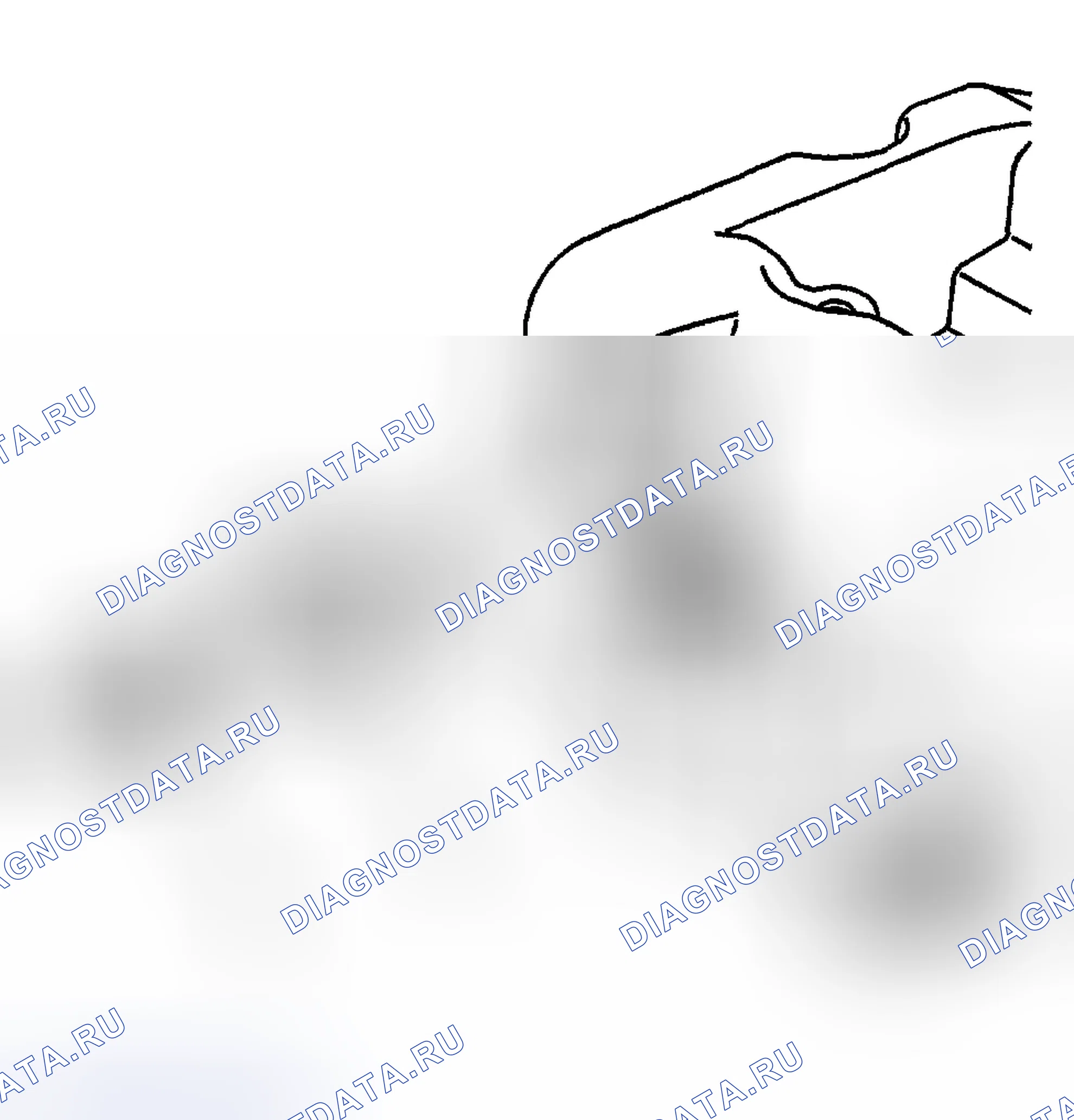 Рис. 253. Hyundai Terracan I рестайлинг
