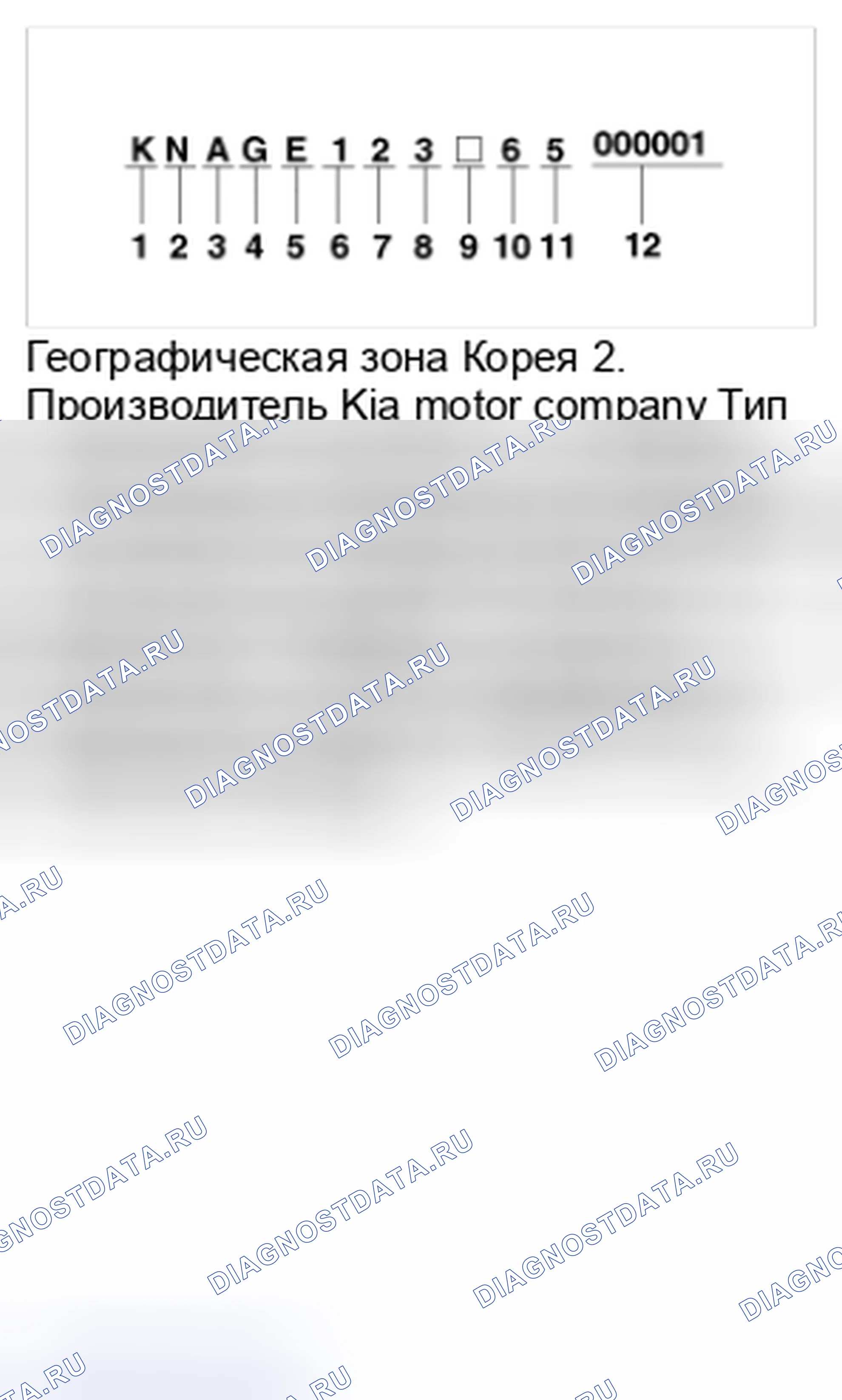 Рис. 3: ИДЕНТИФИКАЦИОННЫЙ НОМЕР ТРАНСПОРТНОГО СРЕДСТВА. Kia Magentis II рестайлинг