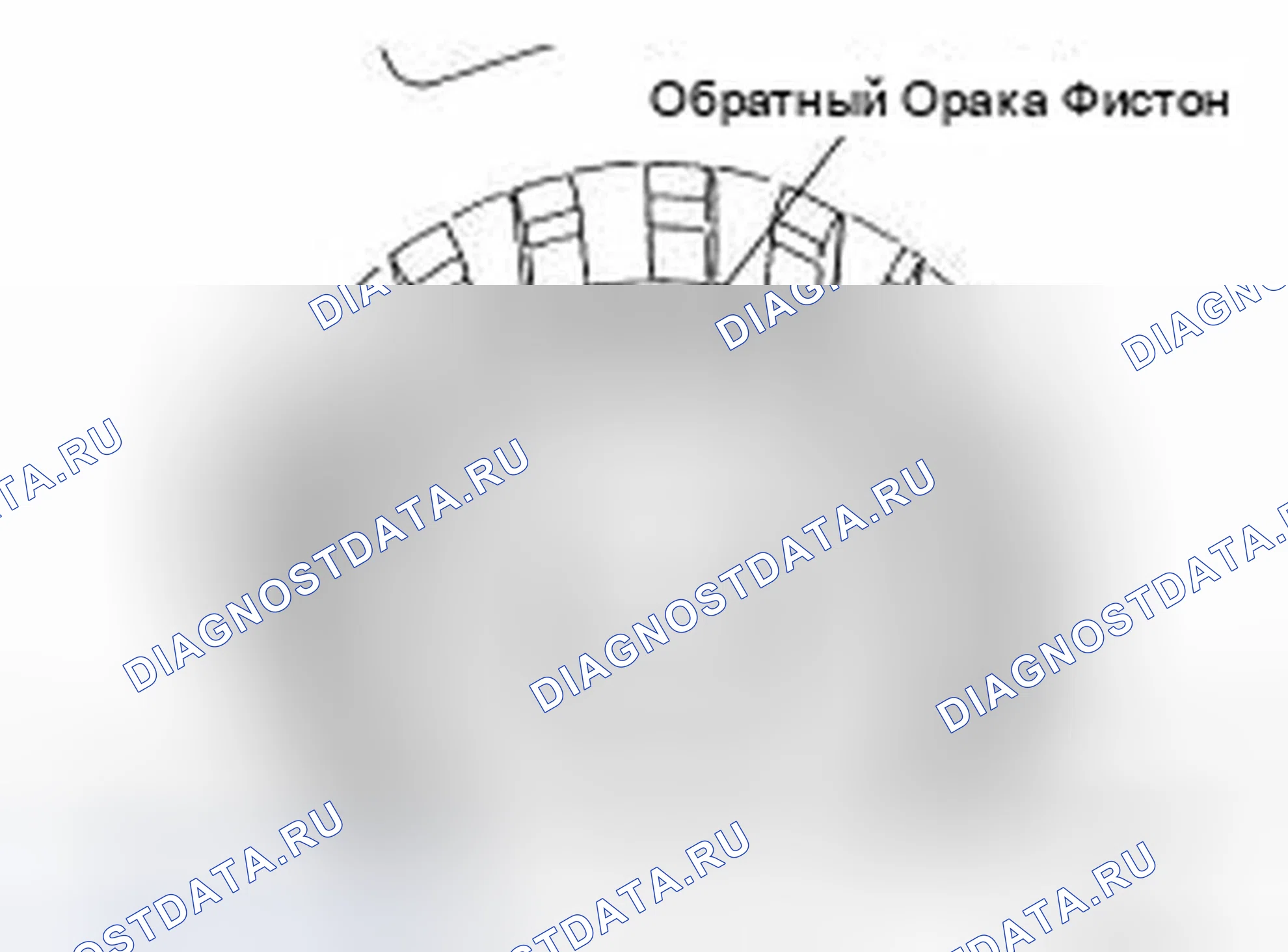Рис. 228. Infiniti M37 IV