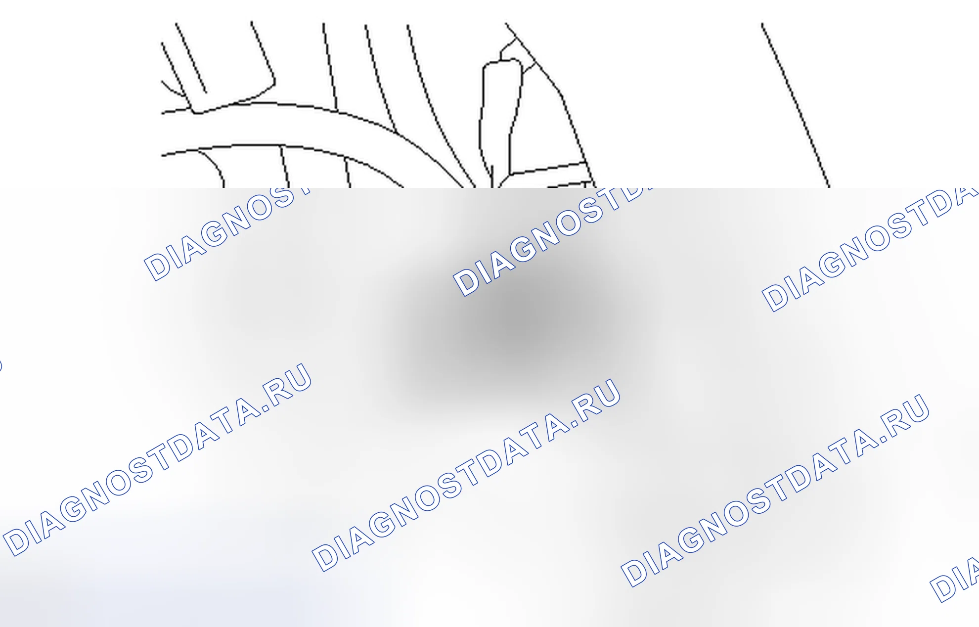 Рис. 48. Honda Accord V