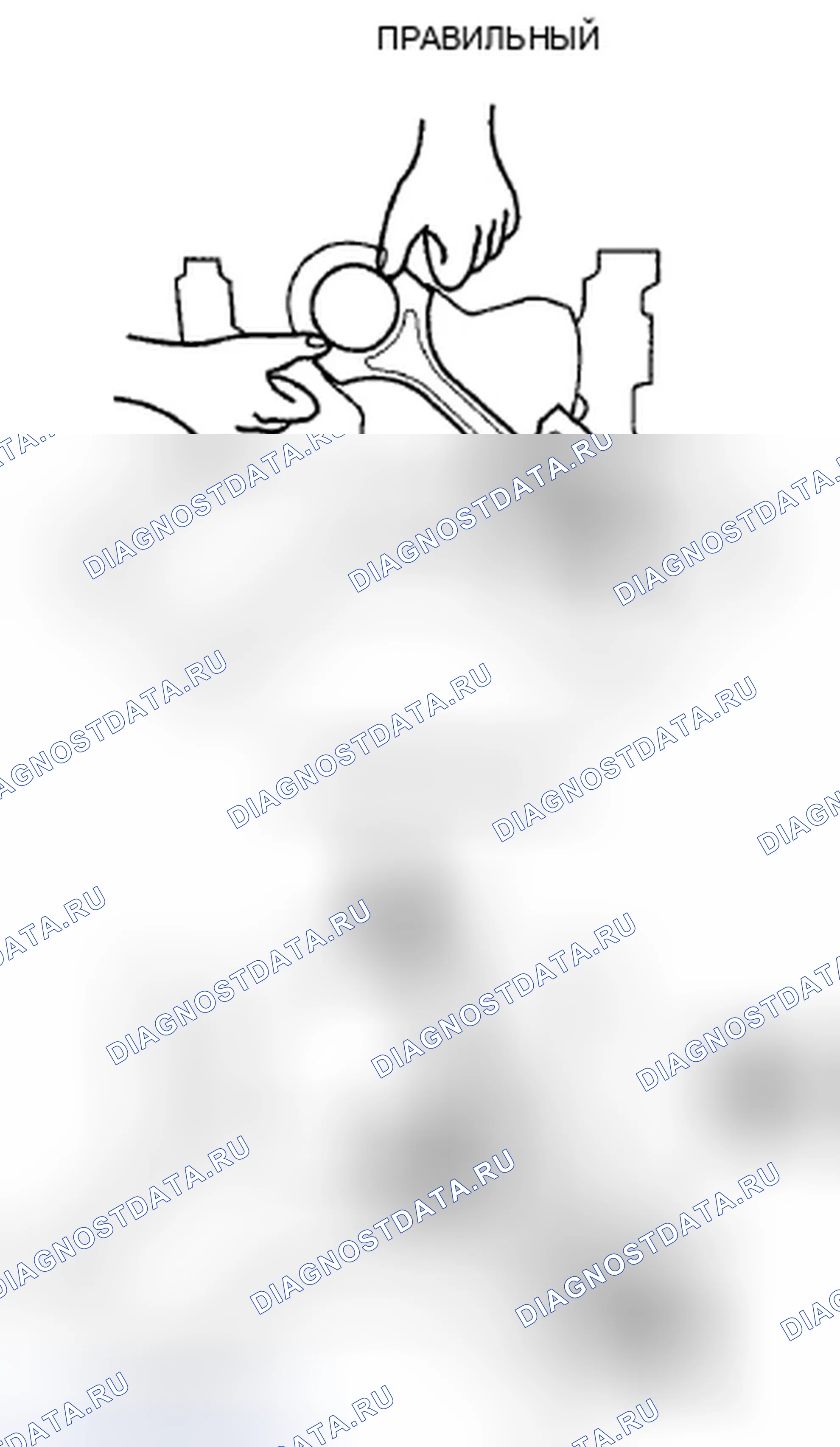 Рис. 365. Honda Crosstour I