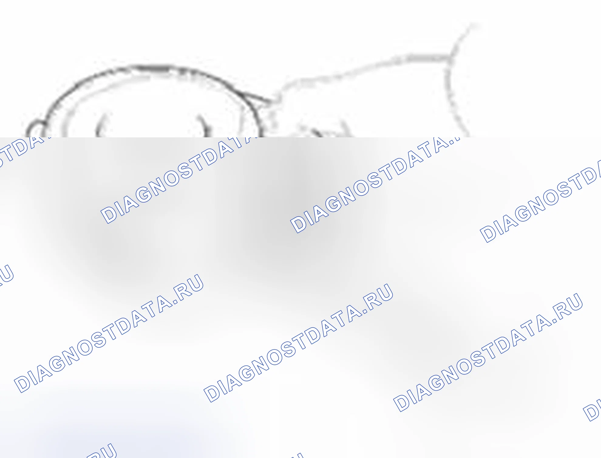Рис. 265: Поршень и кольца. Hyundai Veracruz I
